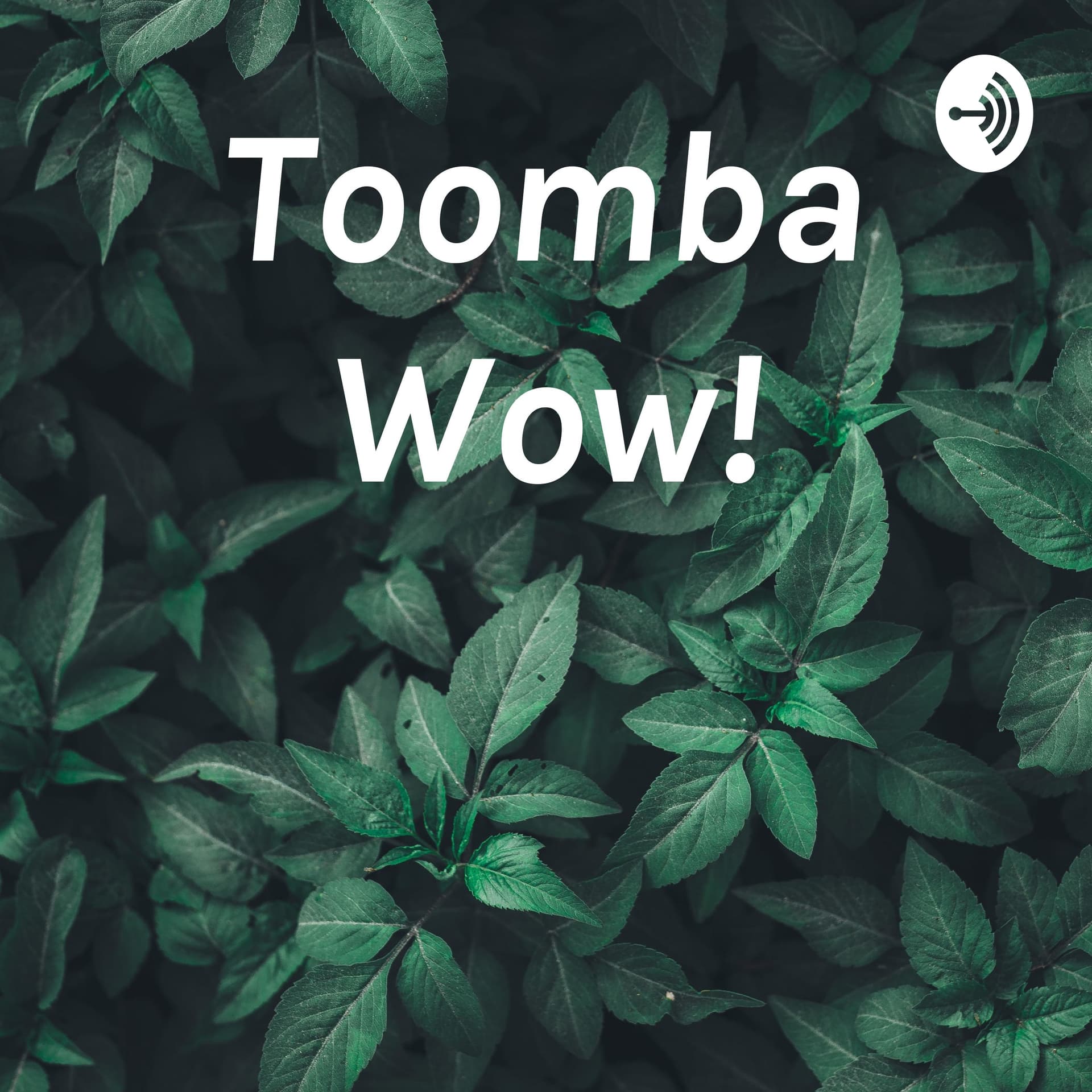 Toomba’s Story Pod