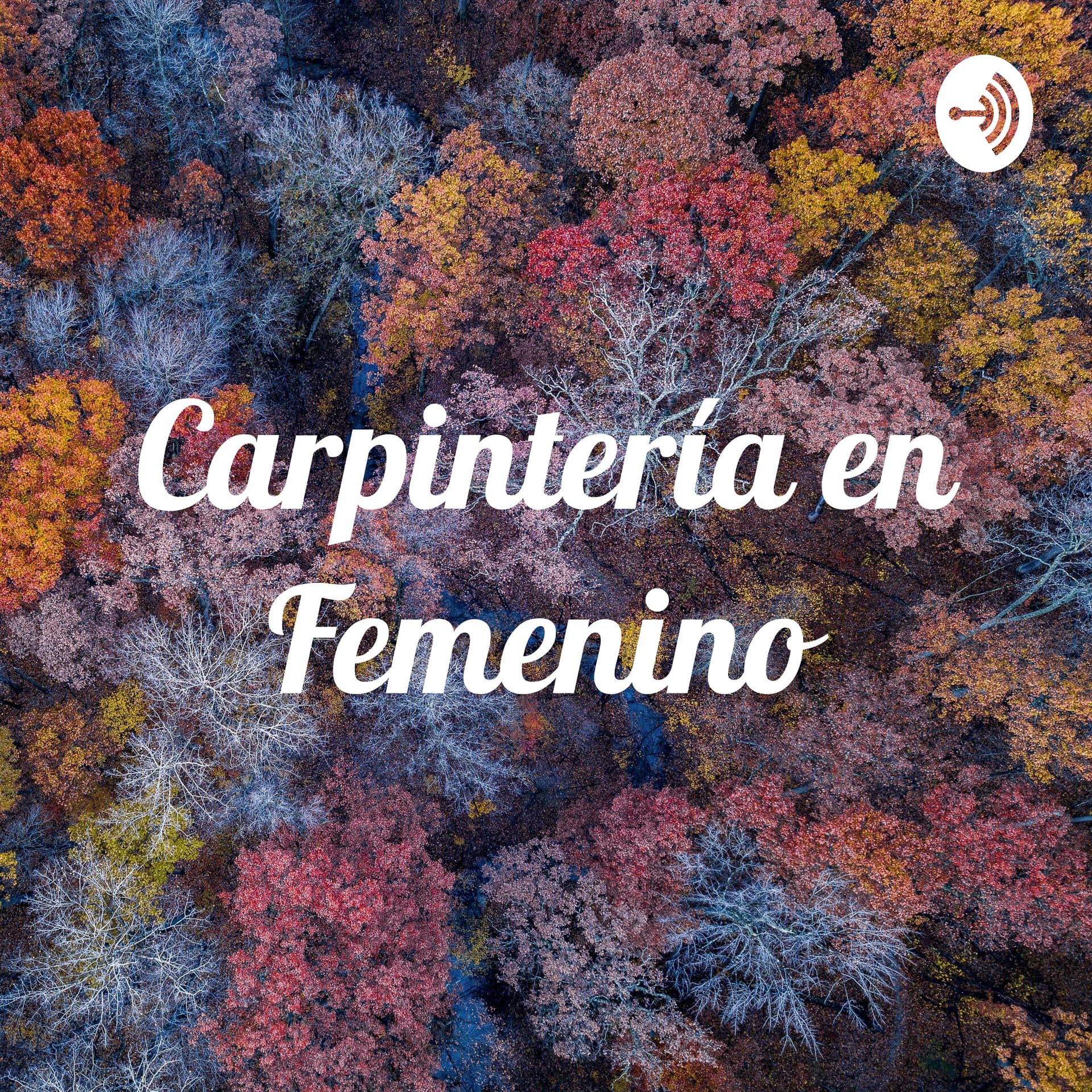 Carpintería en Femenino
