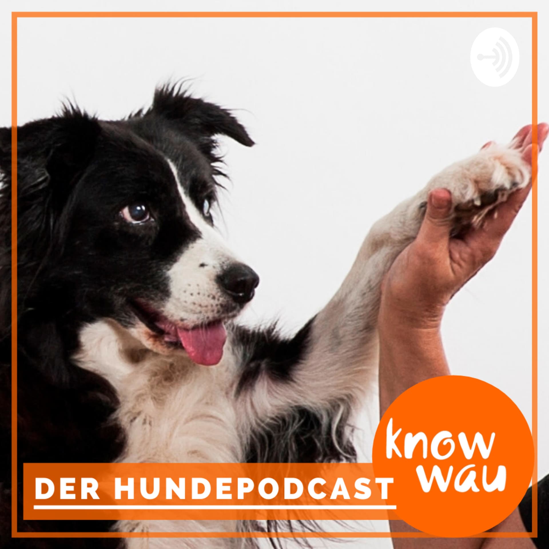 know wau Hundepodcast - Podcasts