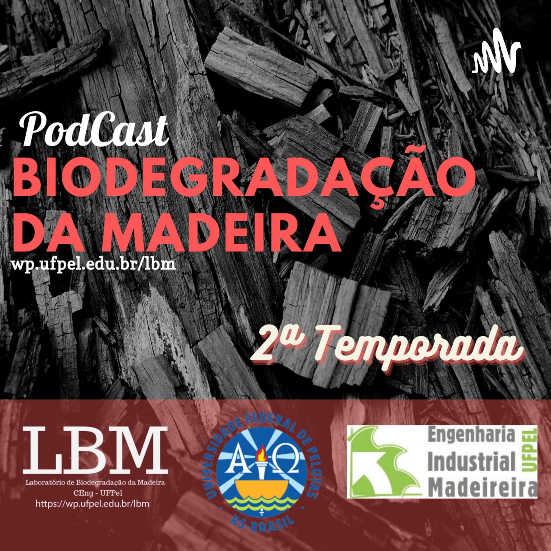 Biodegradação da Madeira - Podcasts