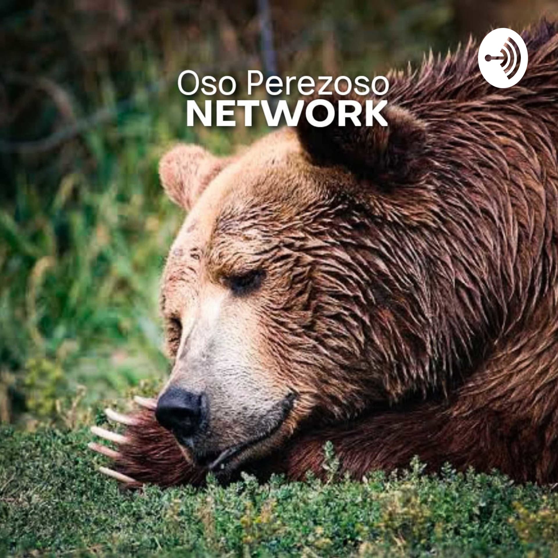 Oso Perezoso NETWORK - Podcasts
