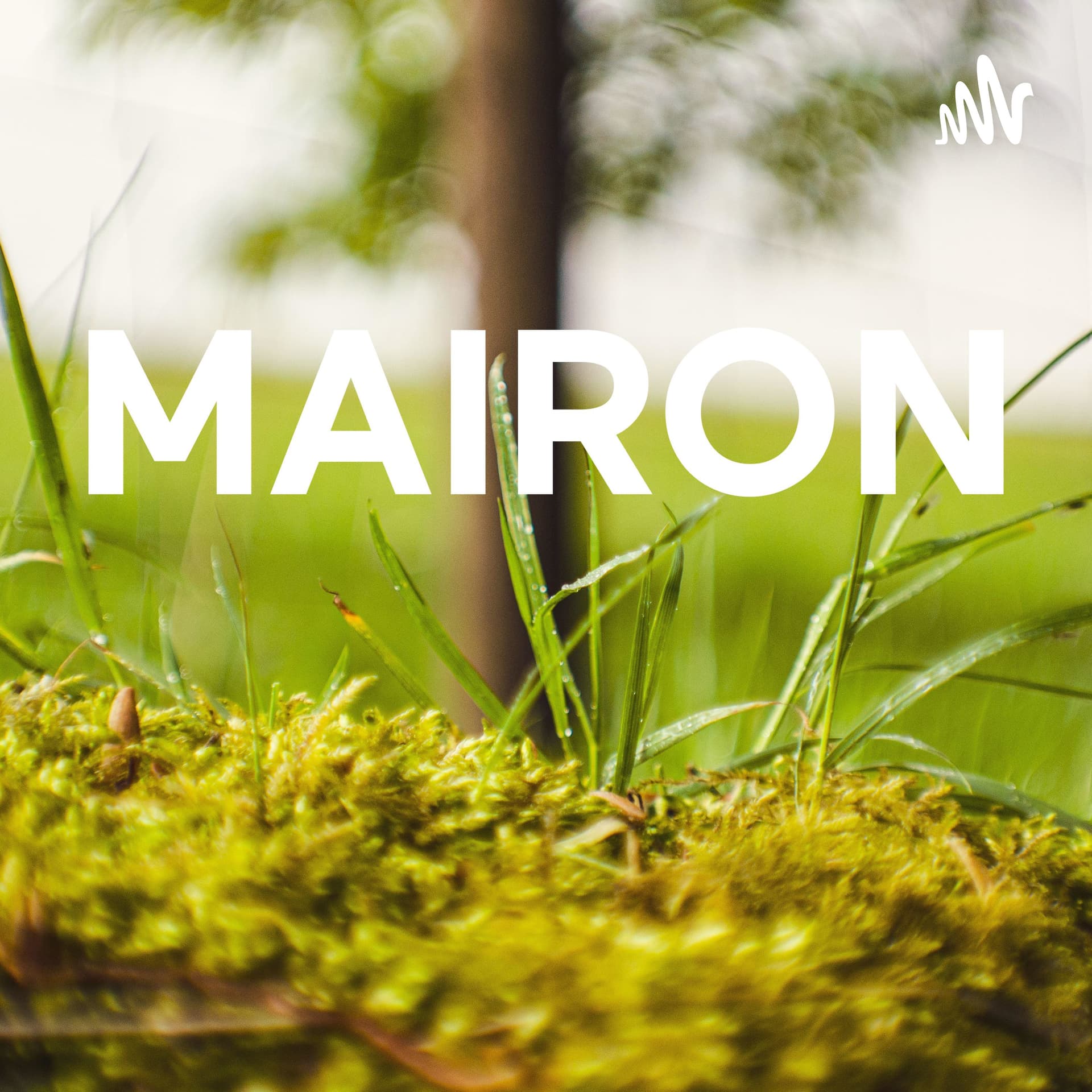 MAIRON