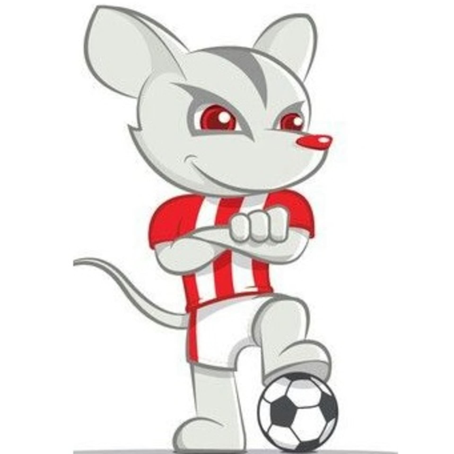 TimBu-Bola - O Podcast quase Oficial do Timbu - Podcasts