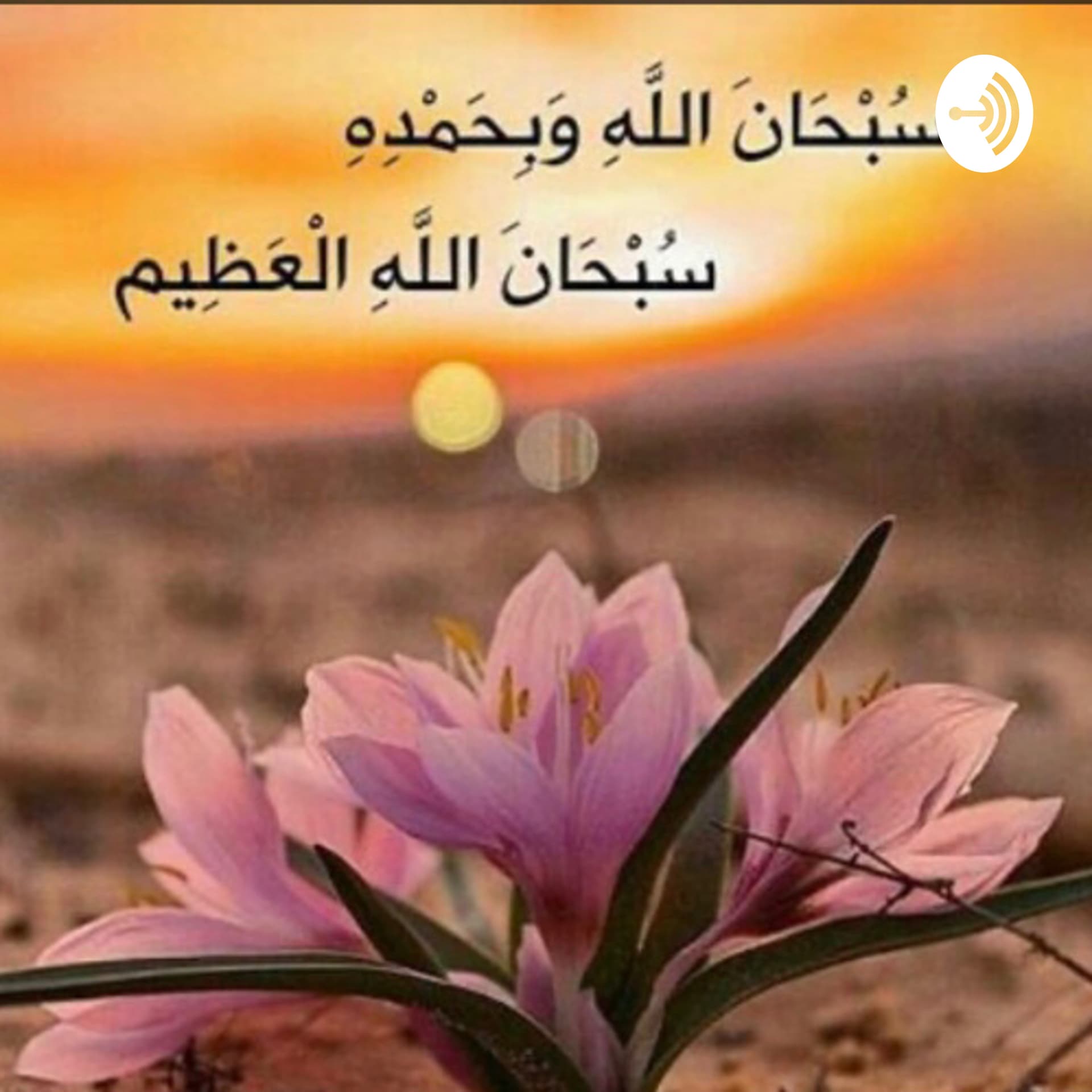 قصص من السيرة - Podcasts
