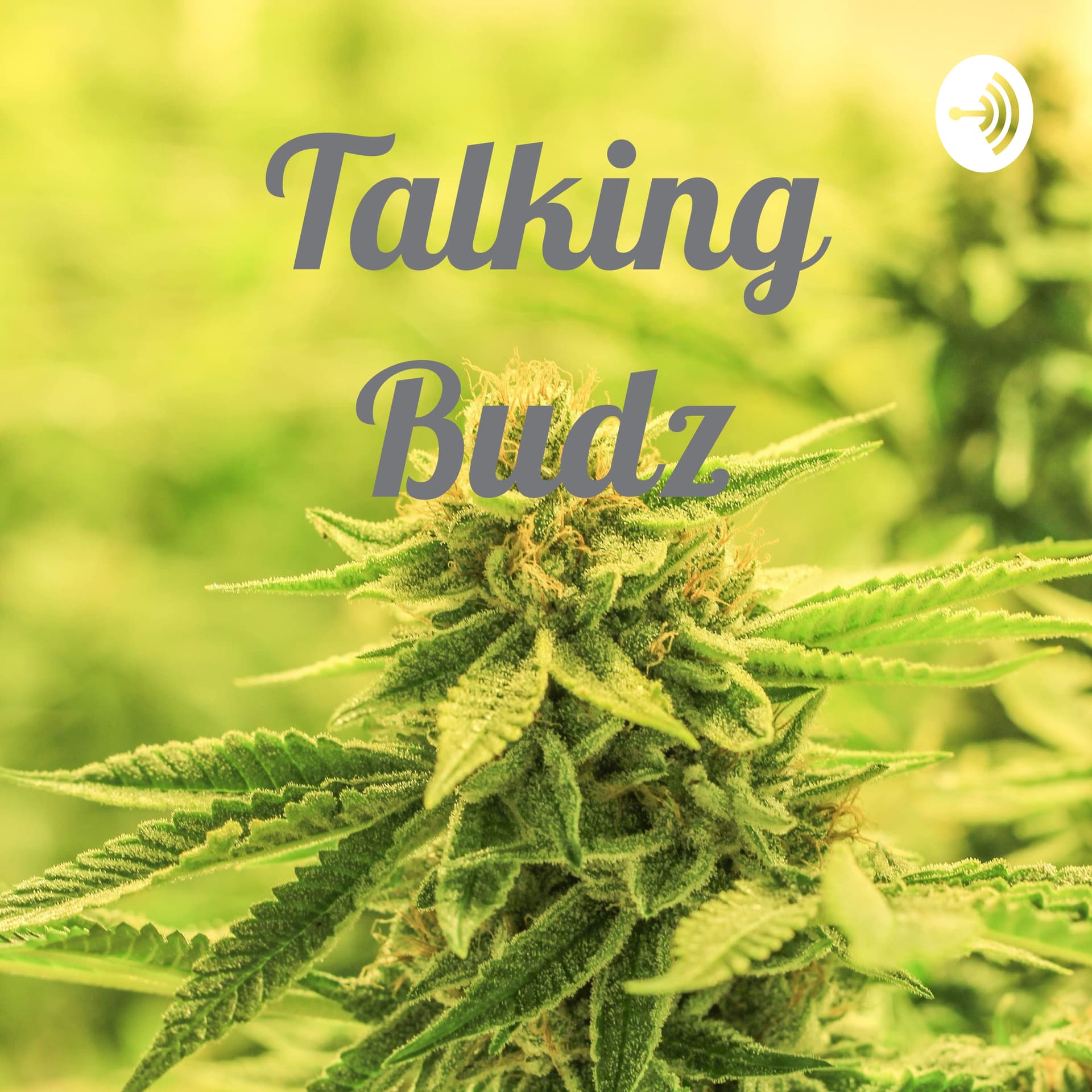 Talking Budz - Podcasts