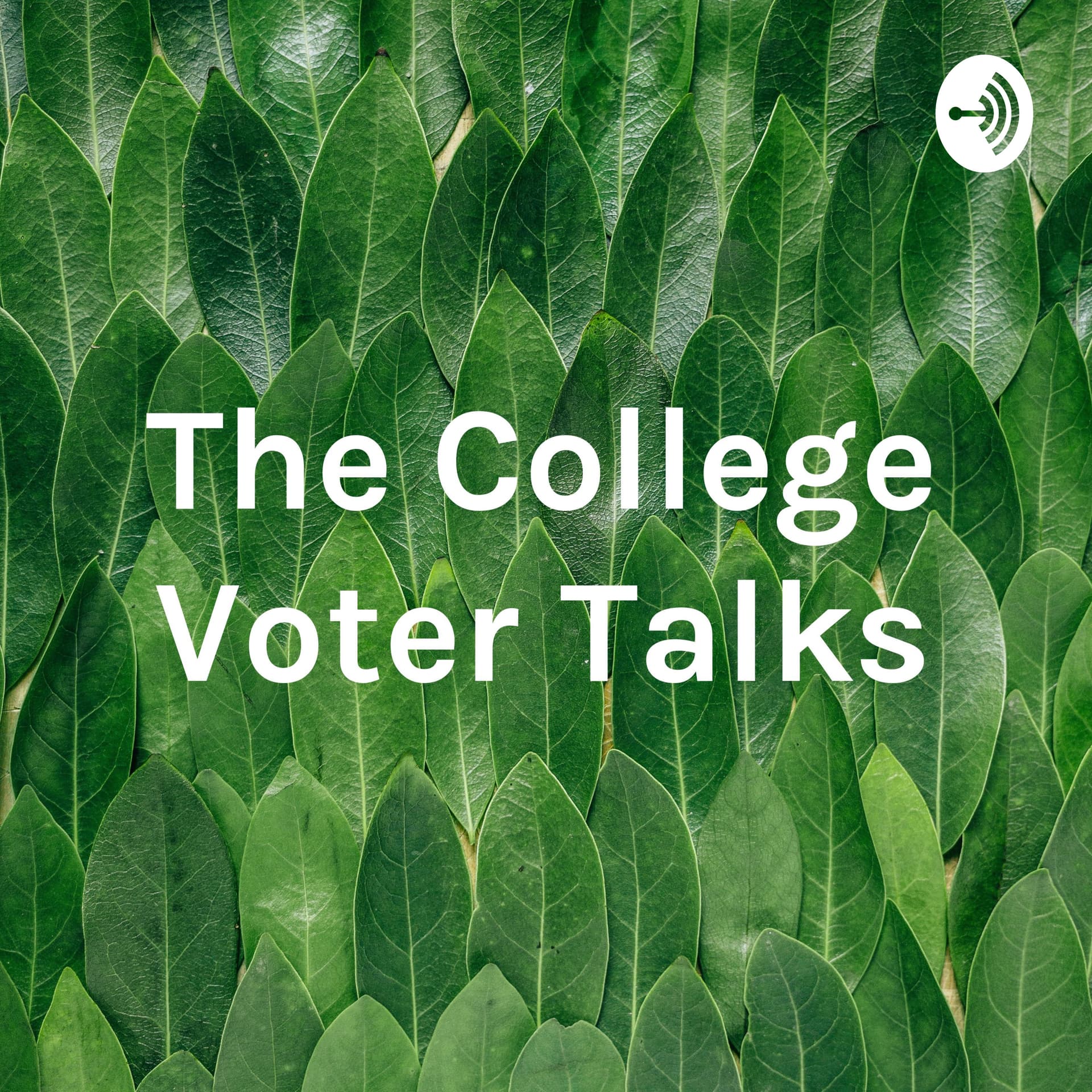 The College Voter Talks