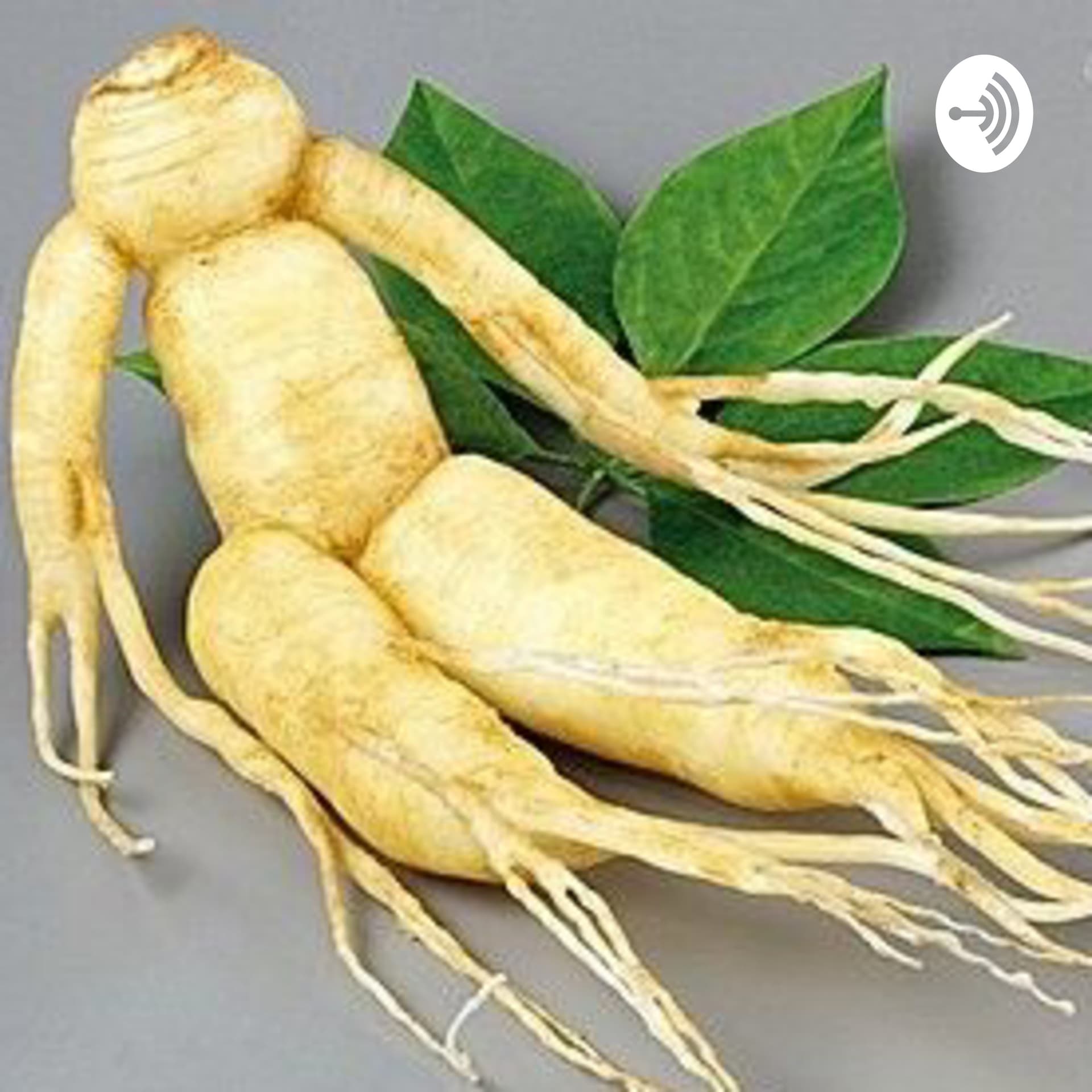 TCM, Ginseng & heilsame Wirkungen - Podcasts