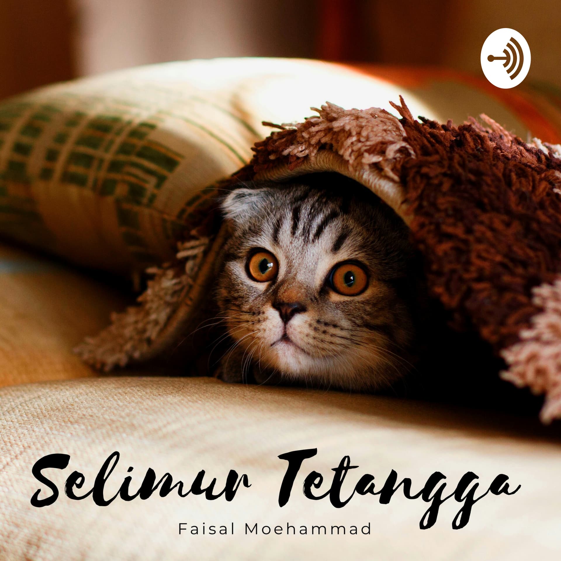 Selimur Tetangga - Podcasts