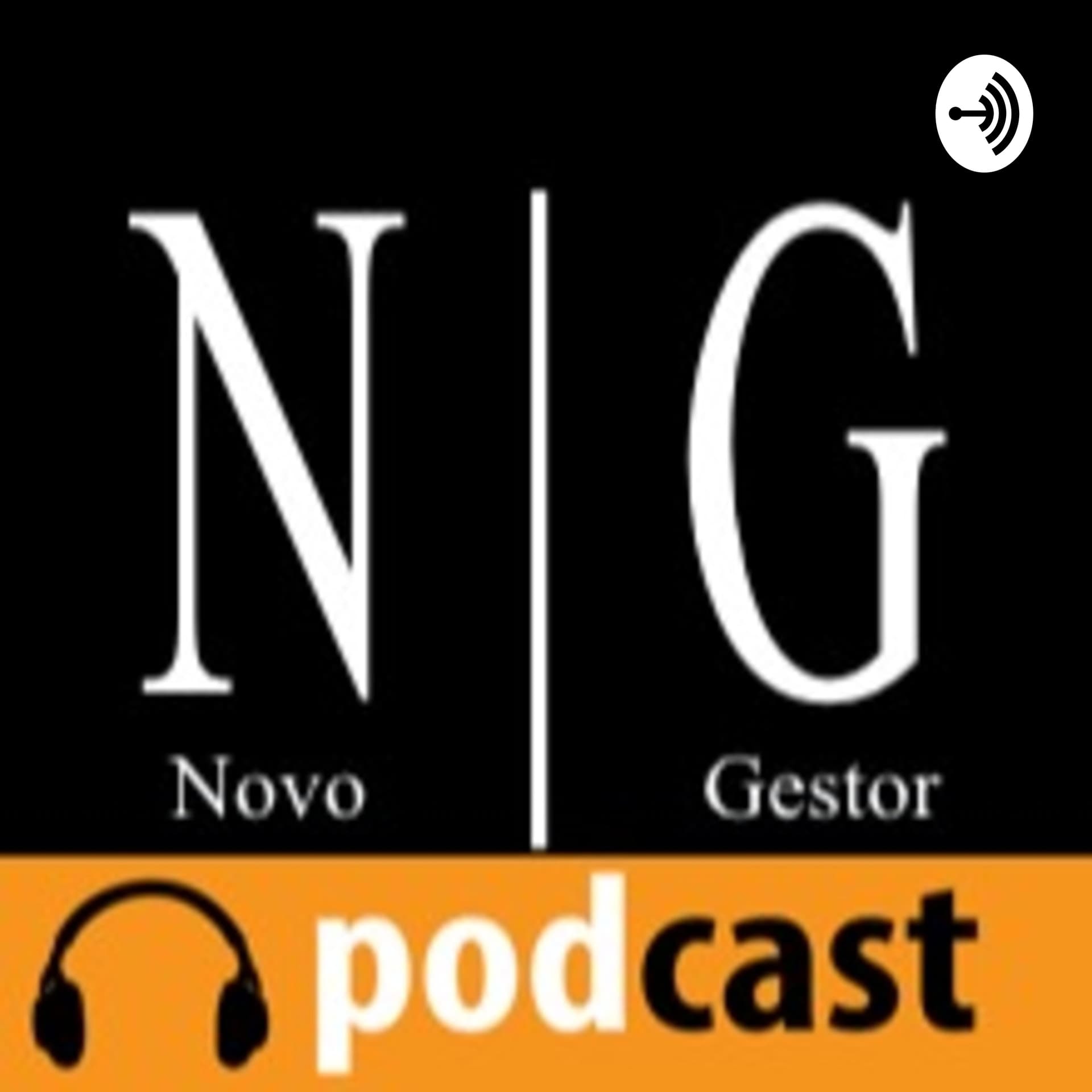 Novo Gestor