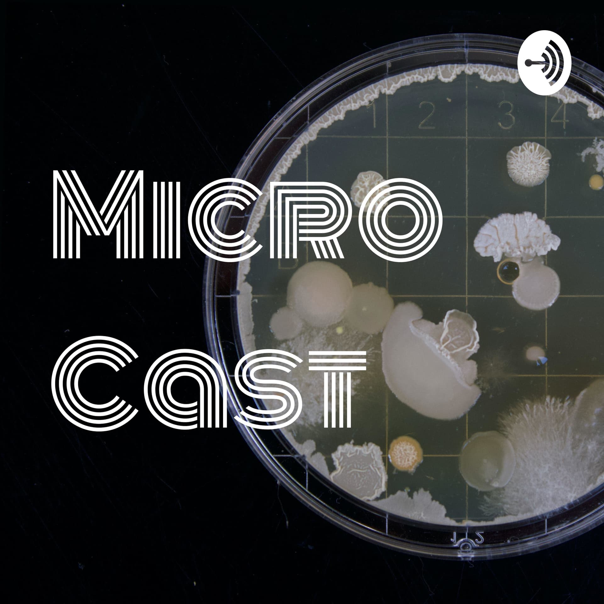 Micro Cast - Podcasts