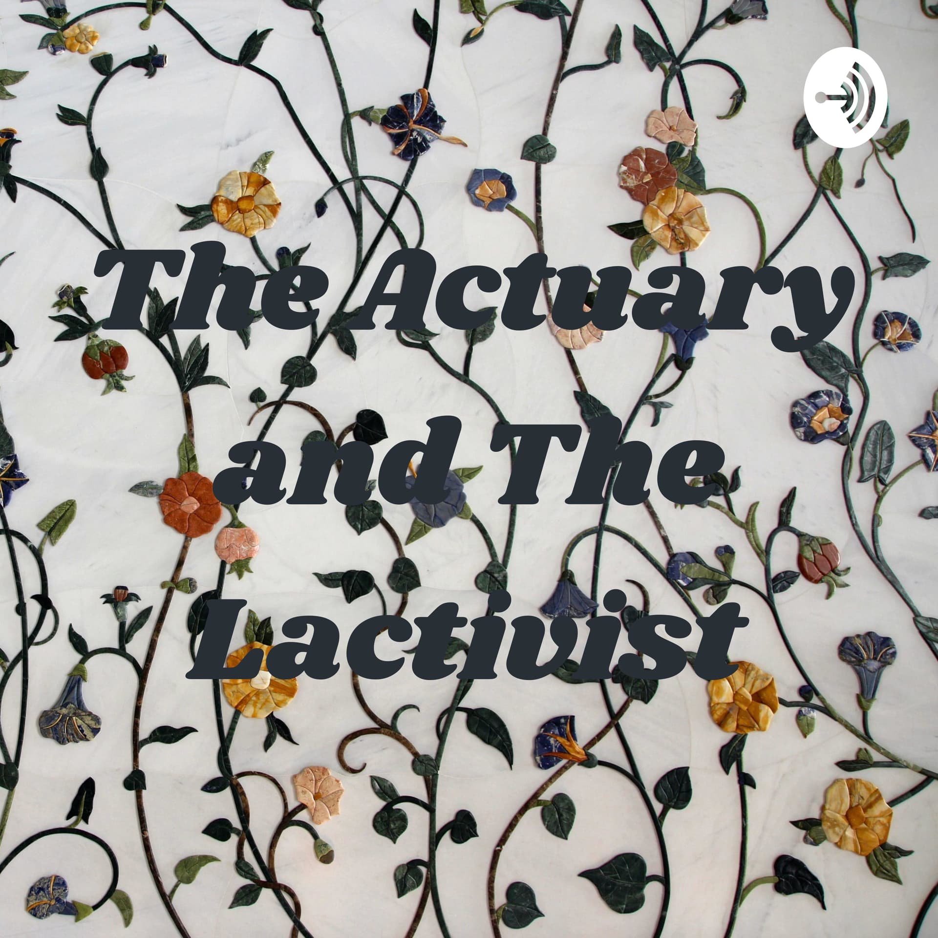 The Actuary and The Lactivist - Podcasts