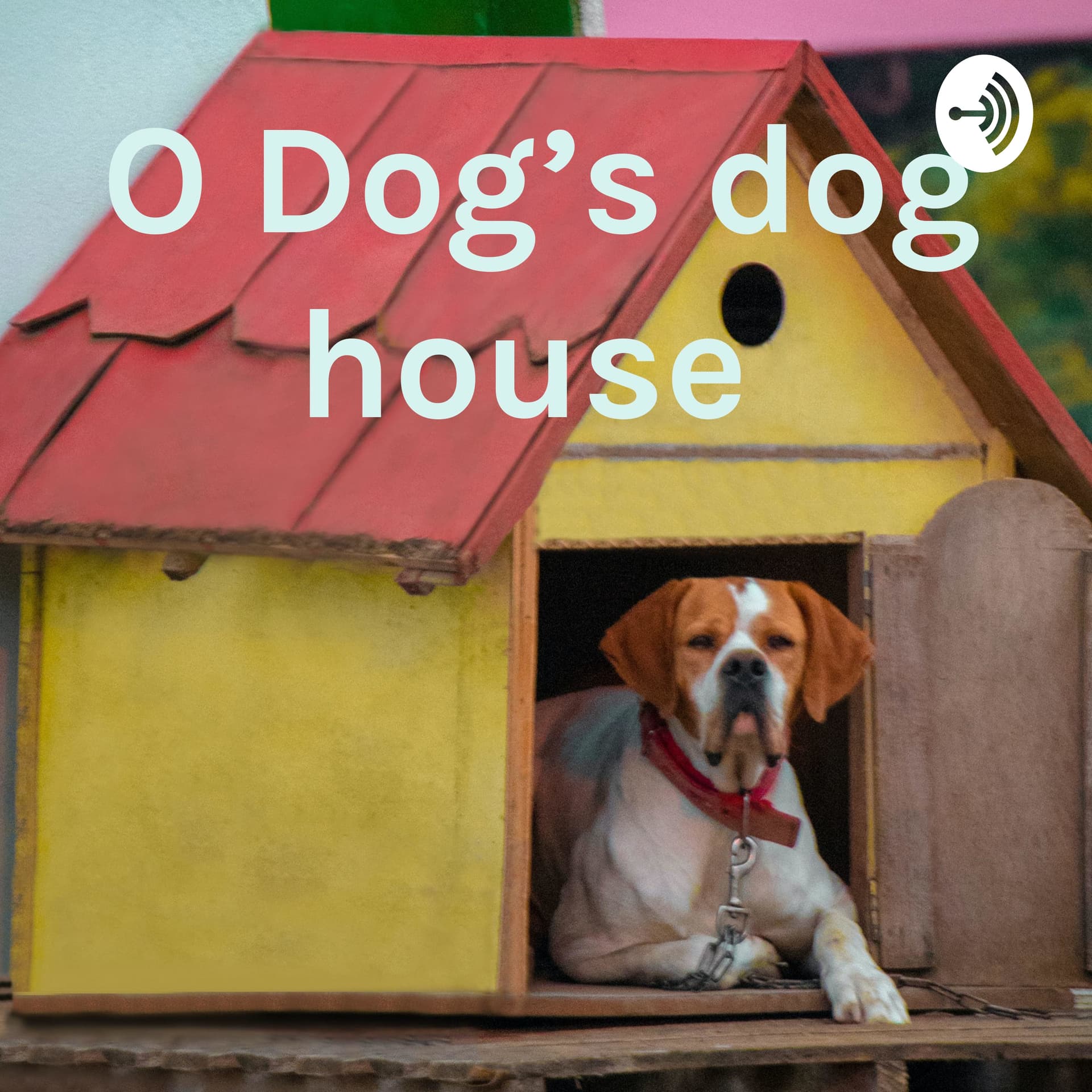 O Dog’s dog house