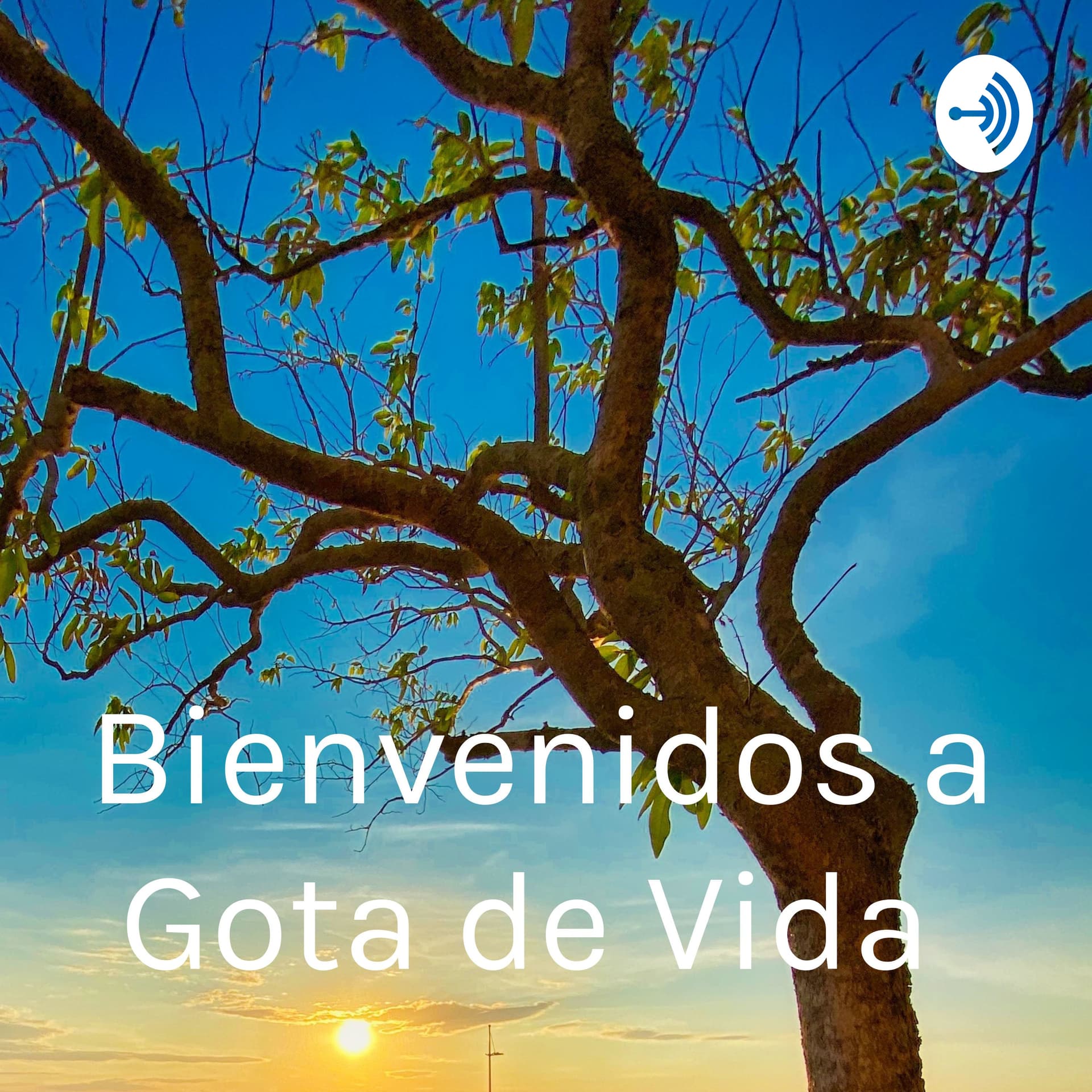 Impacto de dichos y refranes en nuestra vida - Podcasts