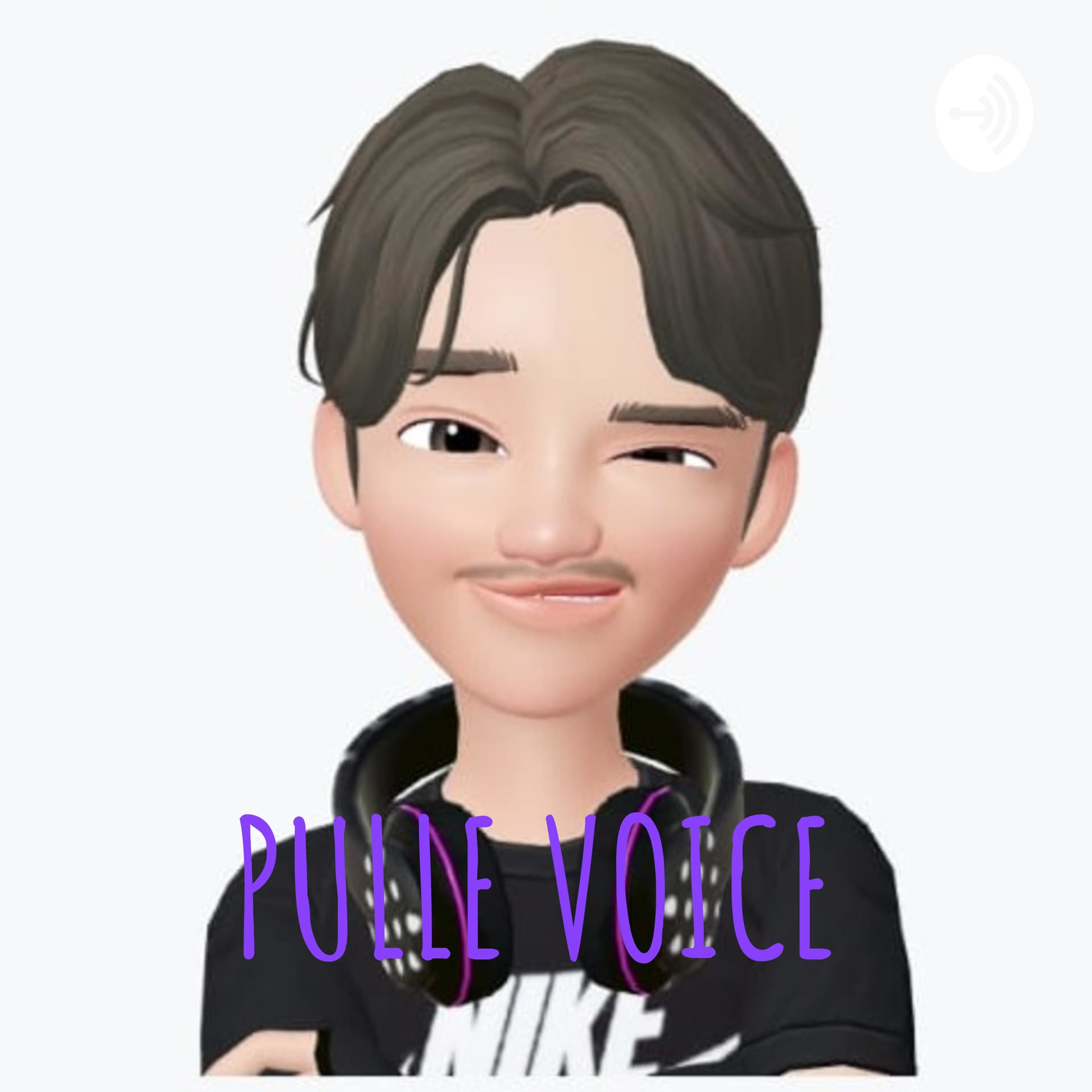 PULLE VOICE - Podcasts