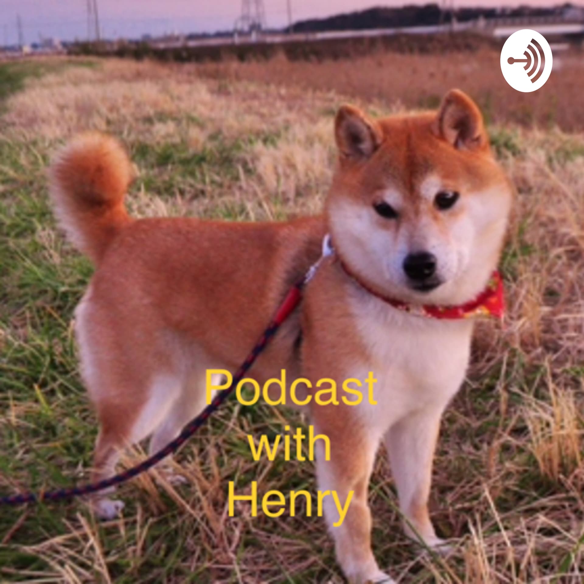 Podcast with Henry - Podcasts