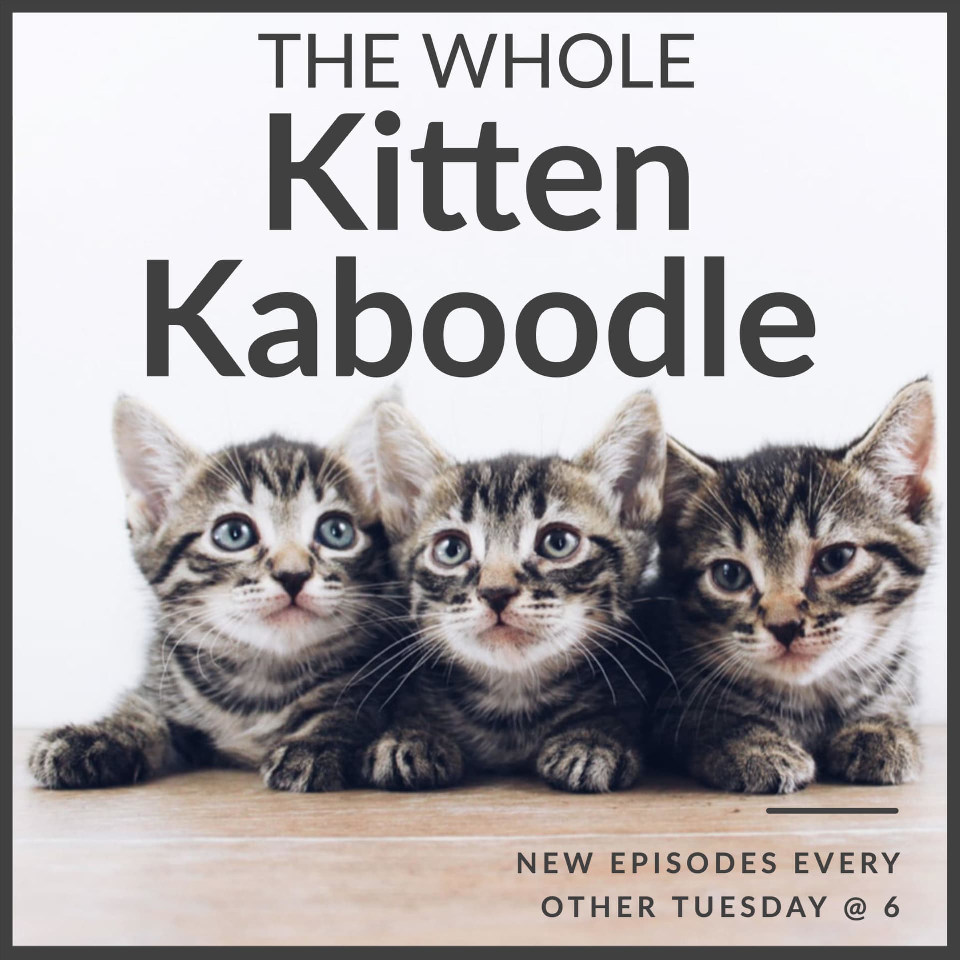 The Whole Kitten Kaboodle - Podcasts