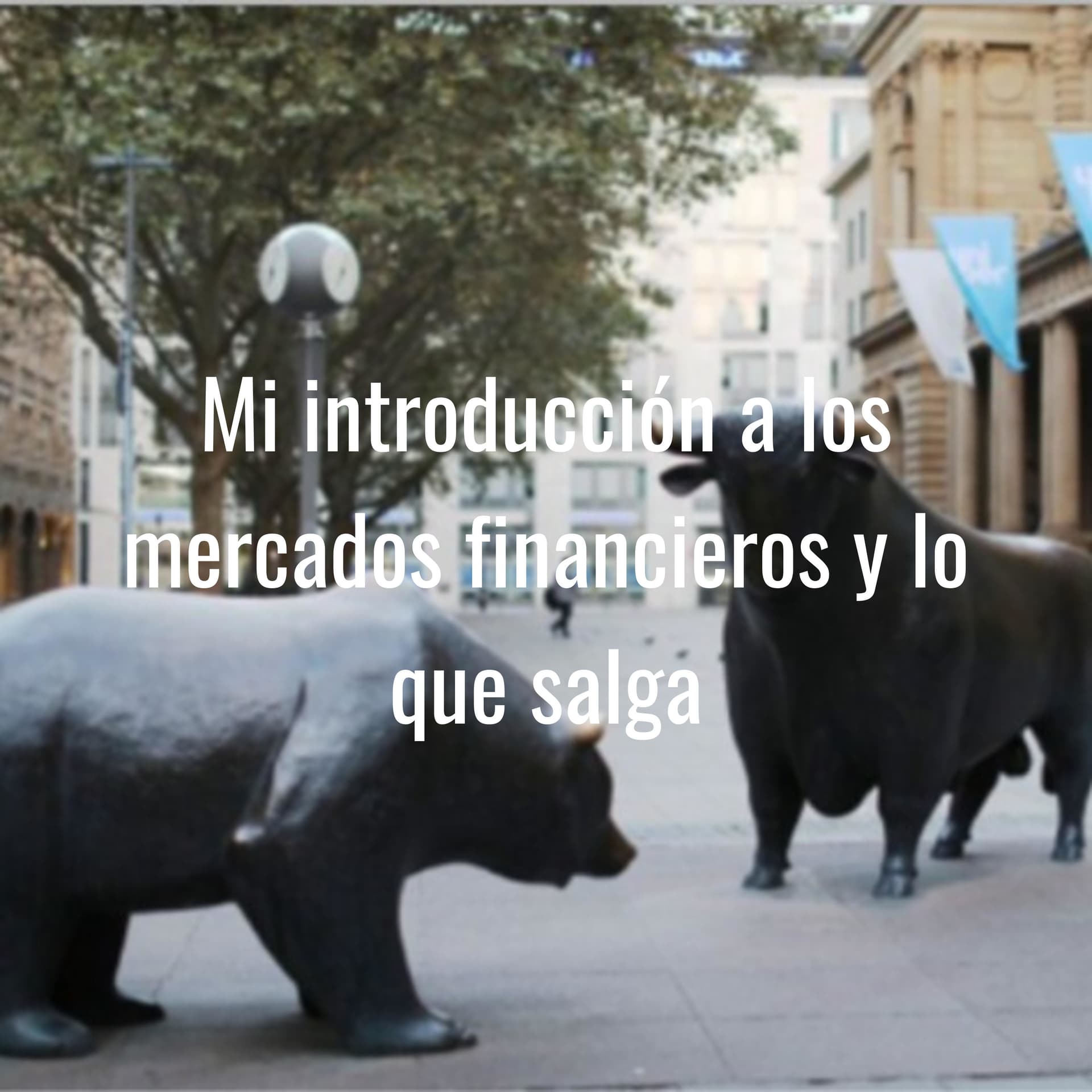 Mi introducción a los mercados financieros y lo que salga