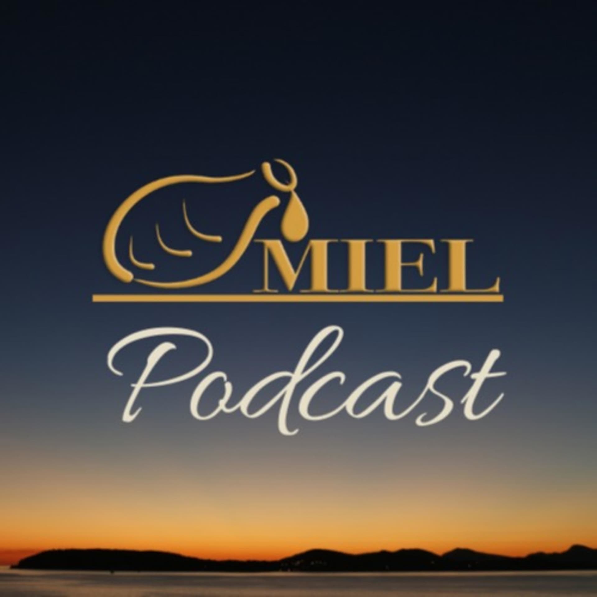 MIEL Podcast - Podcasts
