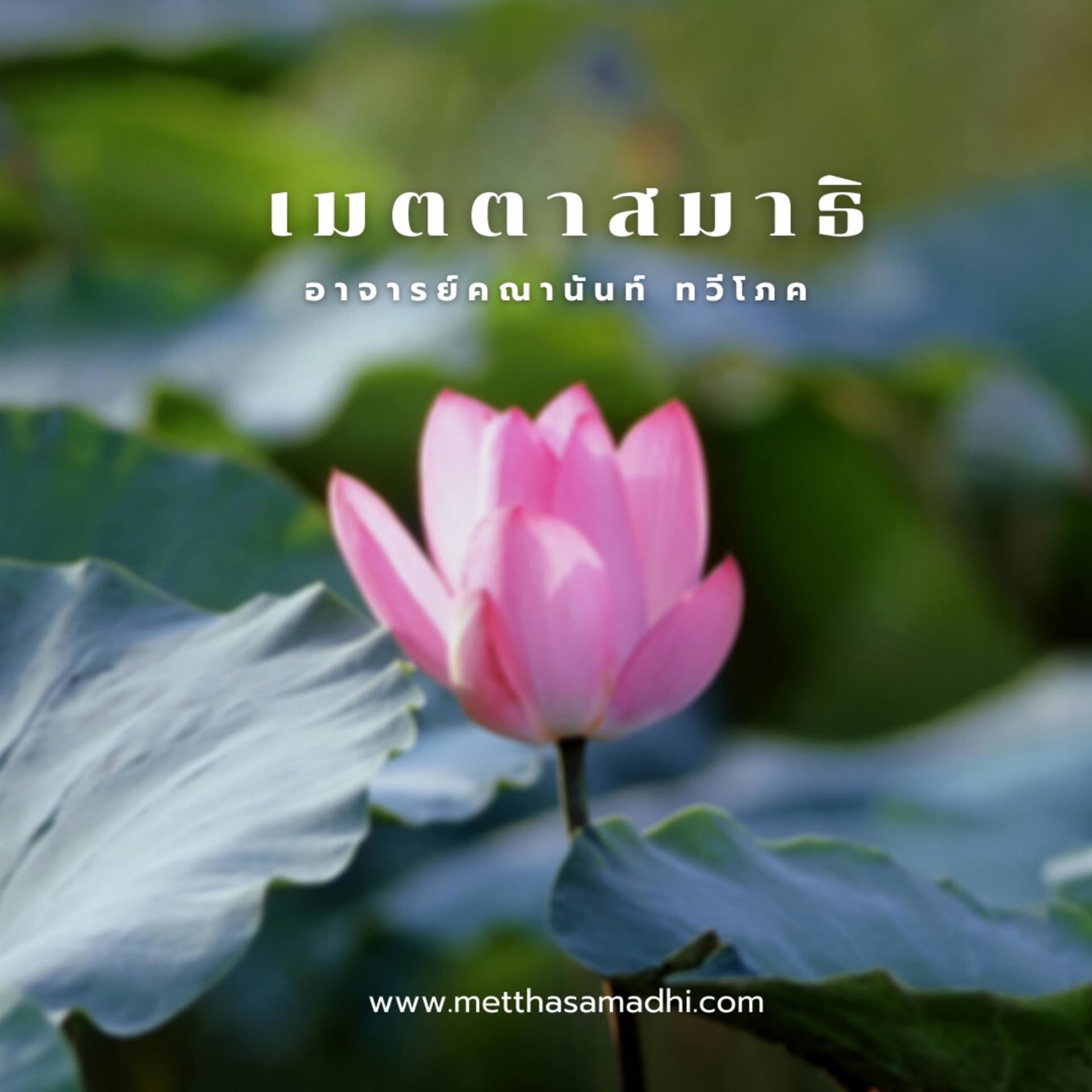เมตตาสมาธิ (Metthasamadhi) - Podcasts