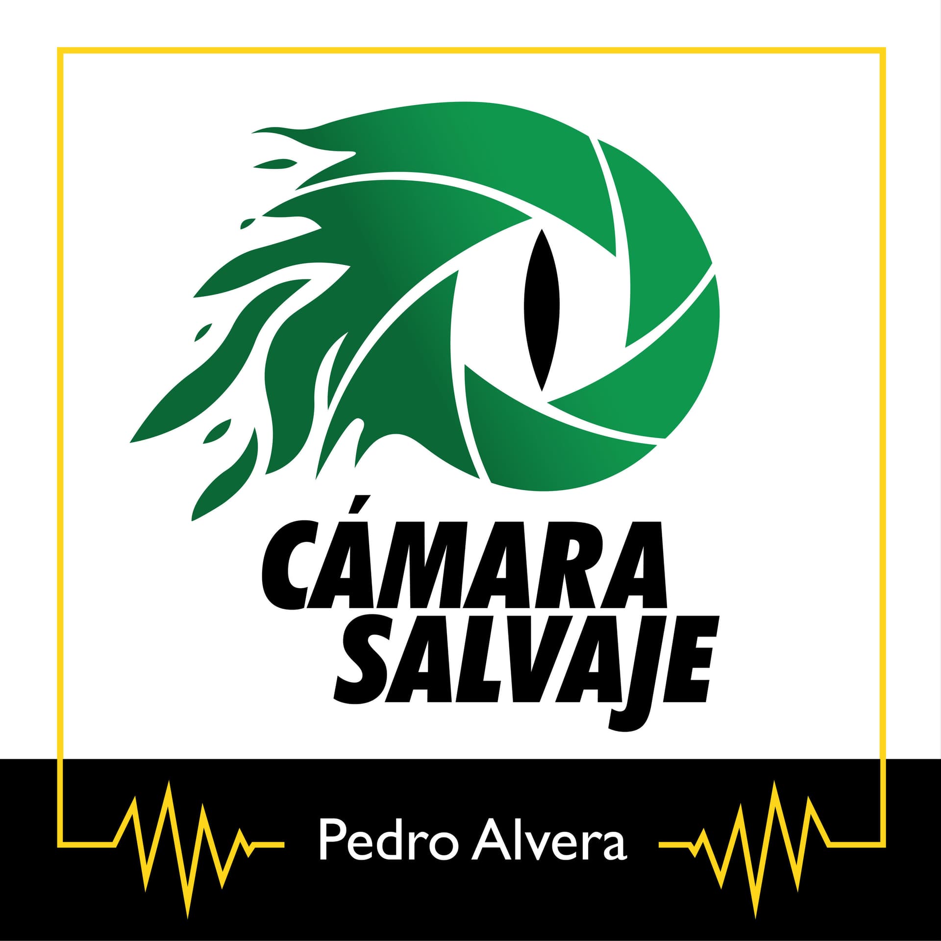 Cámara Salvaje - Podcasts