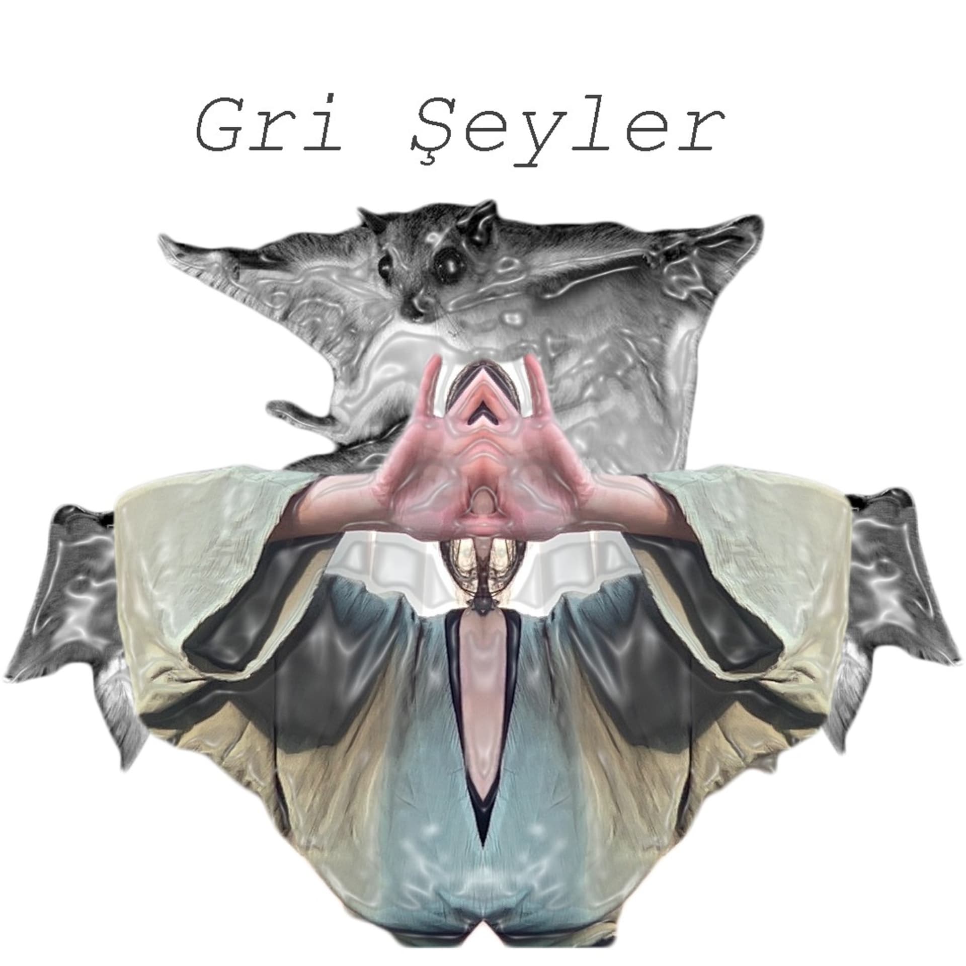 Gri Şeyler - Podcasts