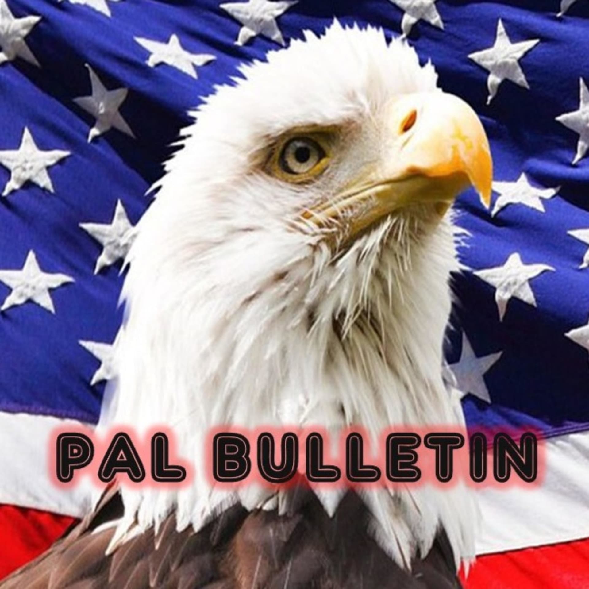 Pal Bulletin - Podcasts