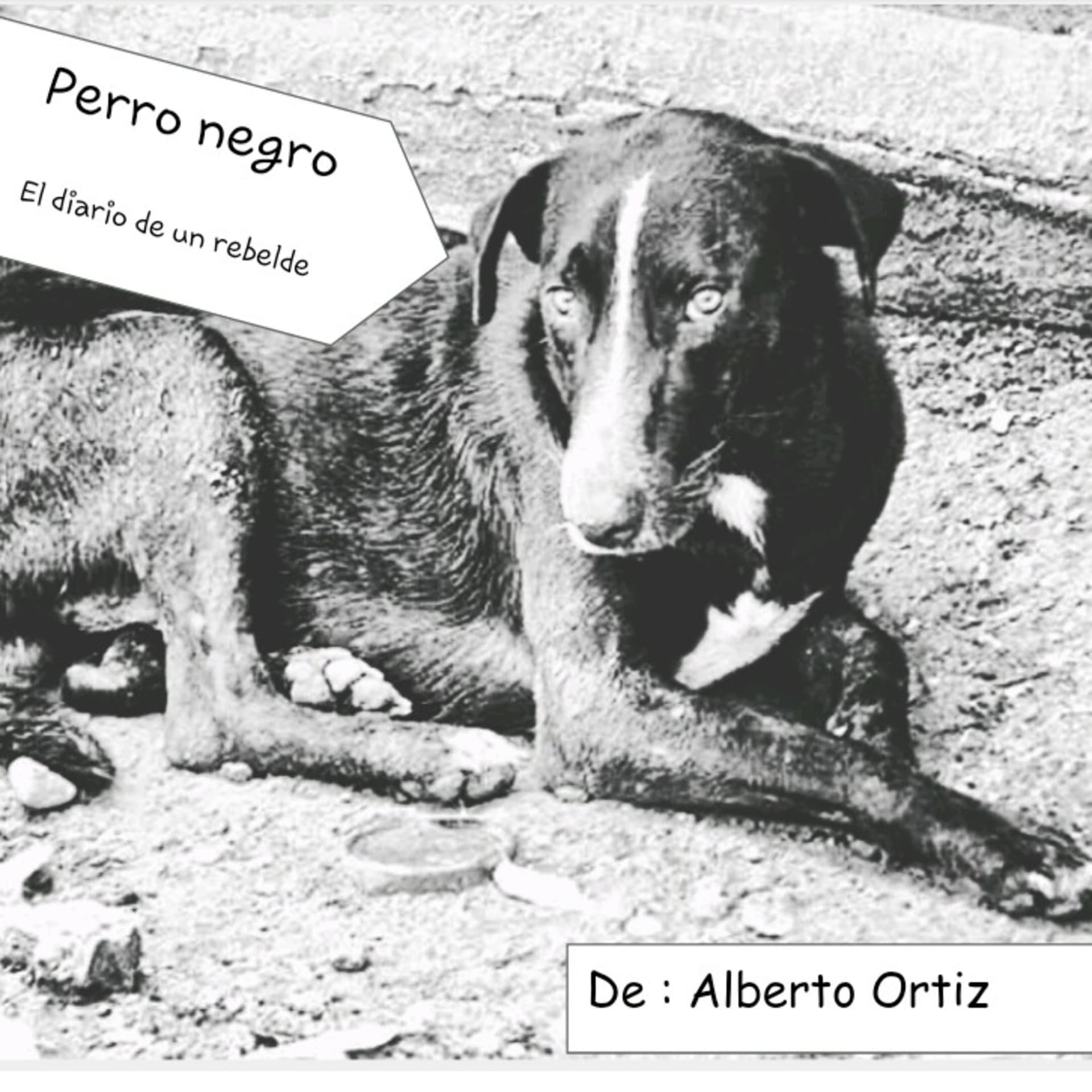 EL DIARIO DE UN REBELDE - Podcasts