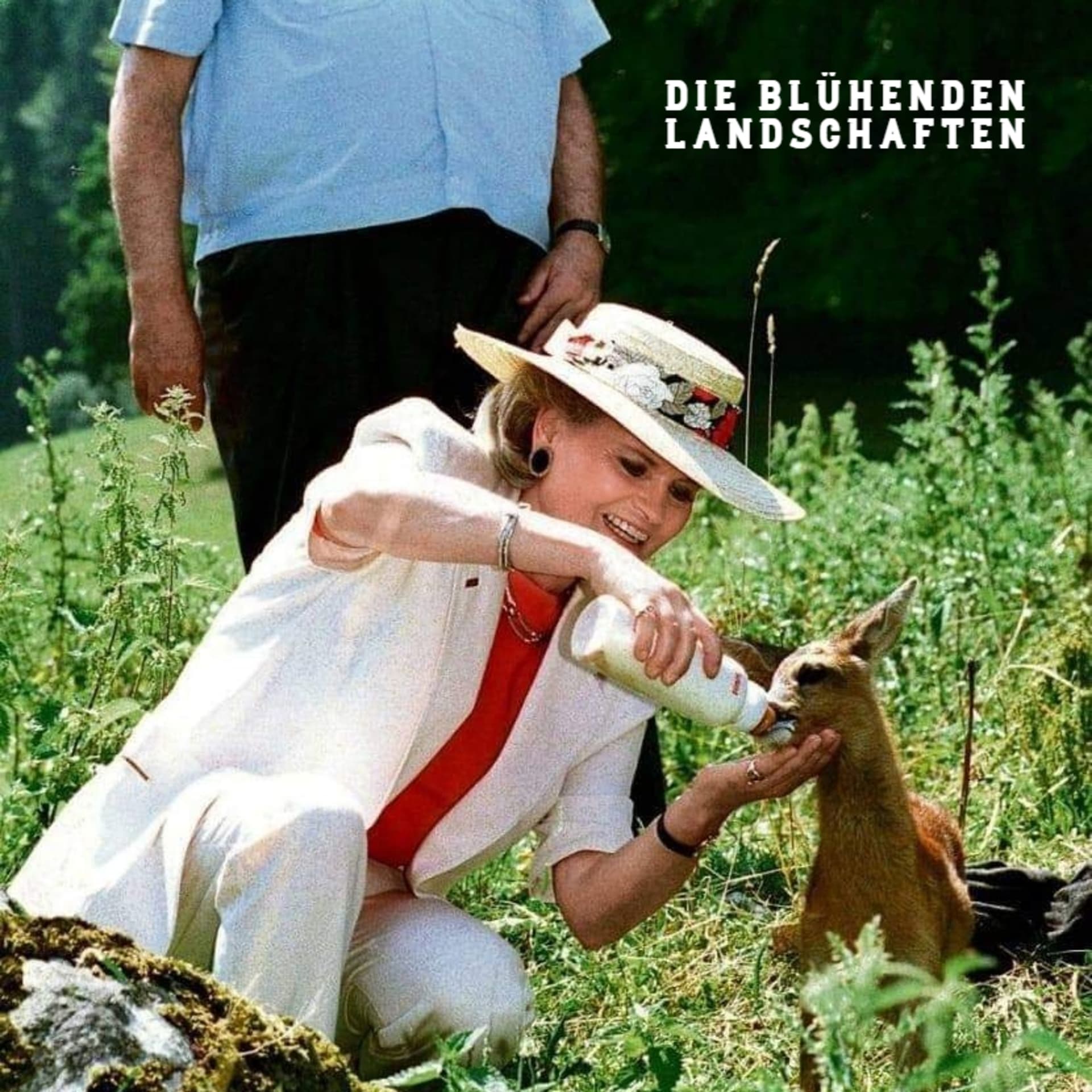 Die Blühenden Landschaften - Podcasts