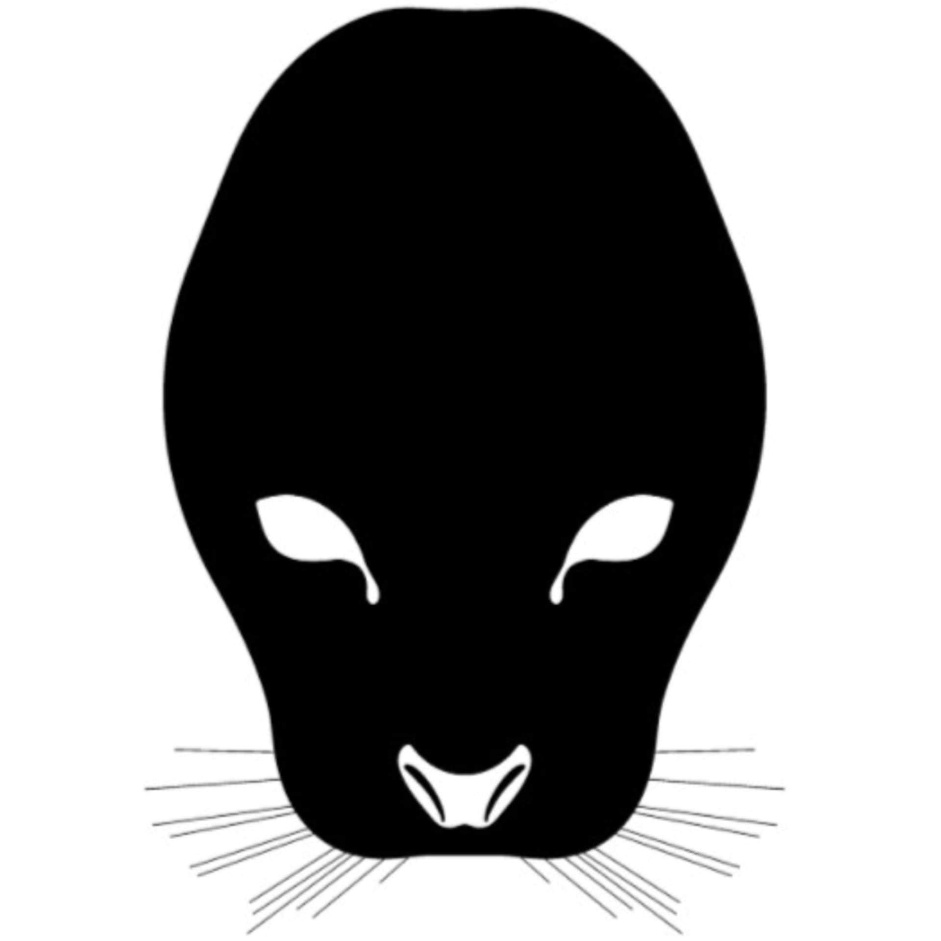 MICHAŁ ZACZYŃSKI PODCAST - Podcasts