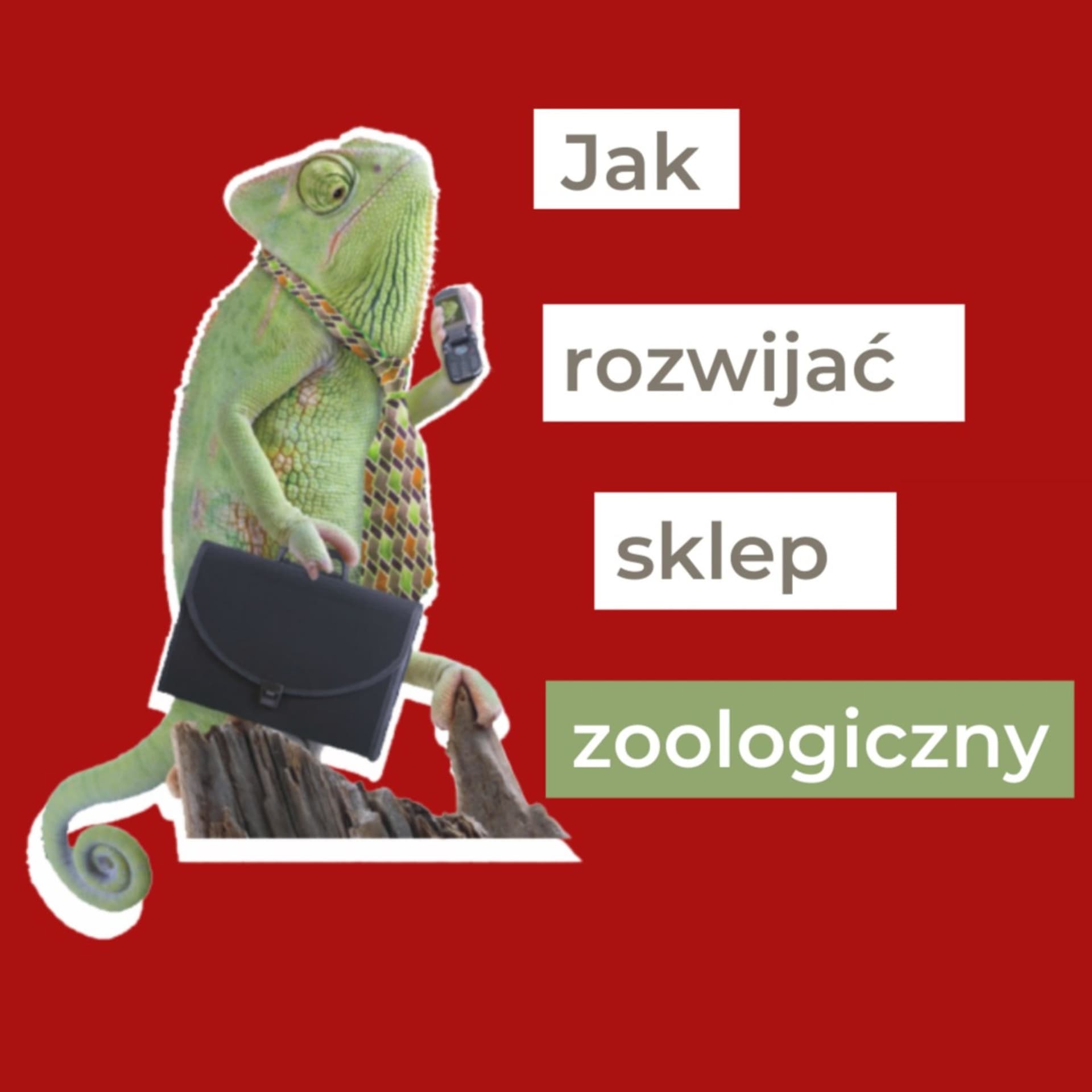 Jak rozwijać sklep zoologiczny - Podcasts