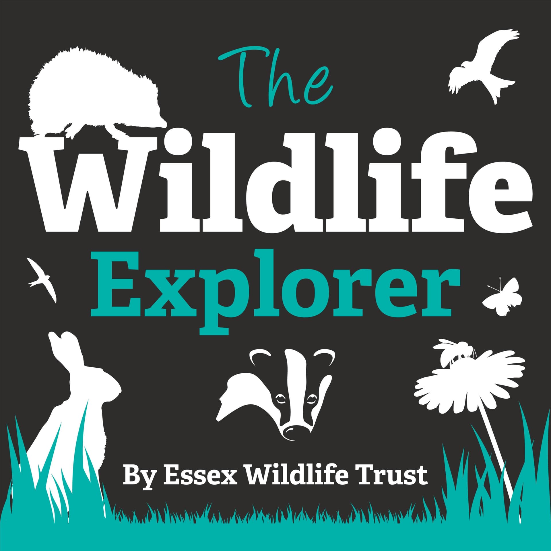 The Wildlife Explorer - Podcasts
