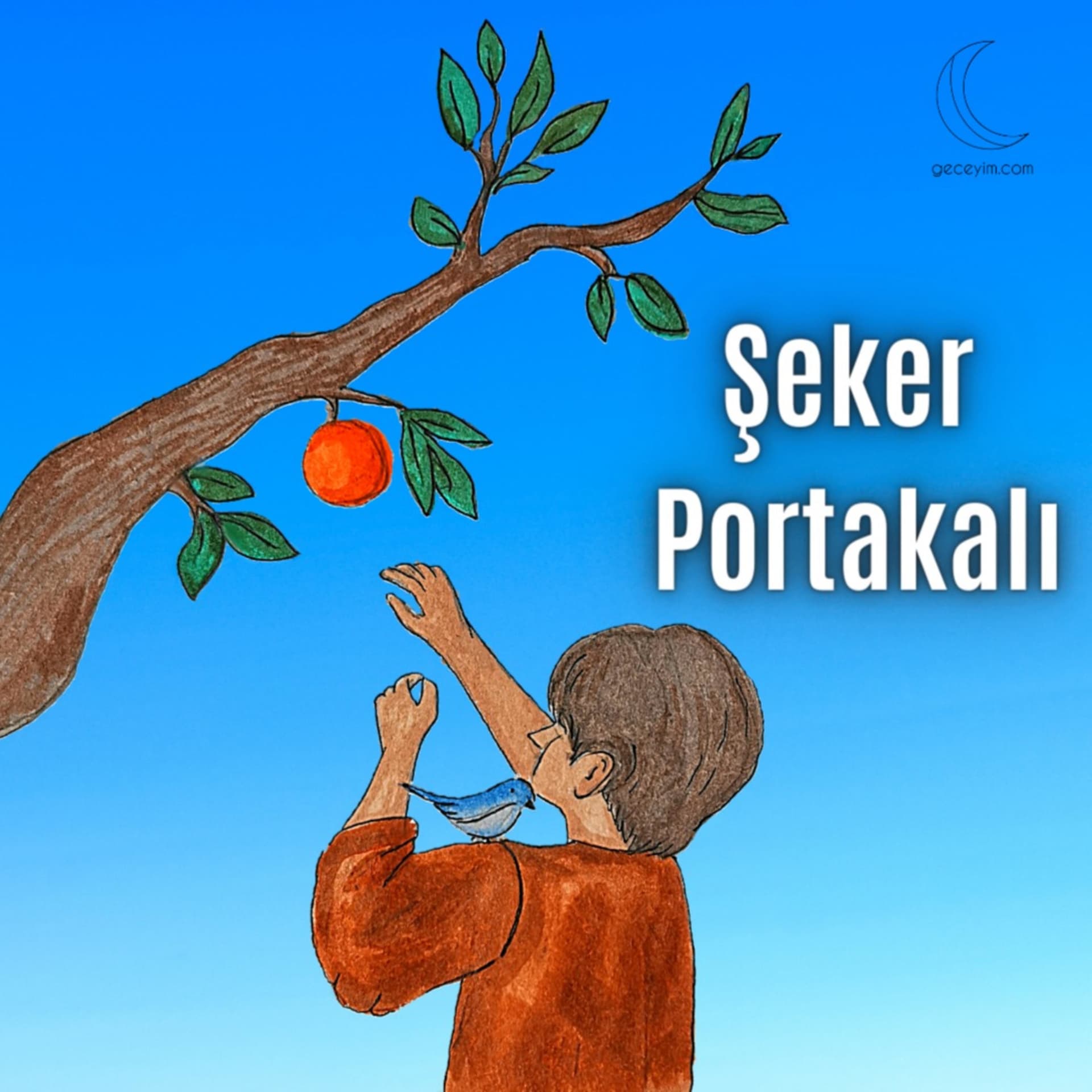 Şeker Portakalı Kitap Seslendirmesi - Podcasts