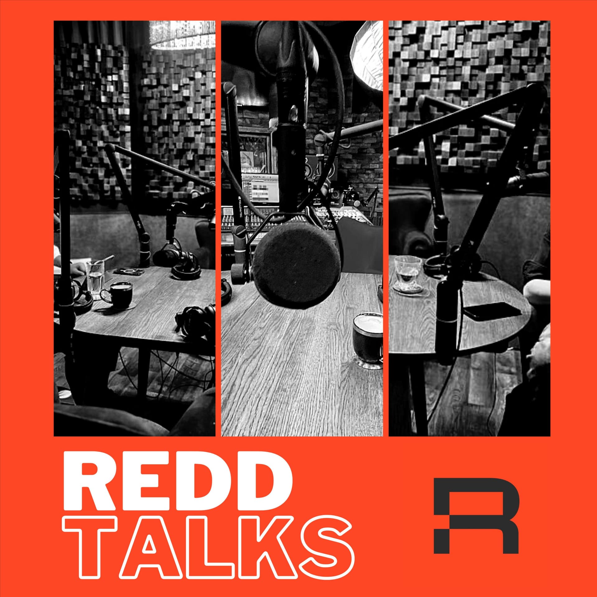 REDD Talks - Podcasts