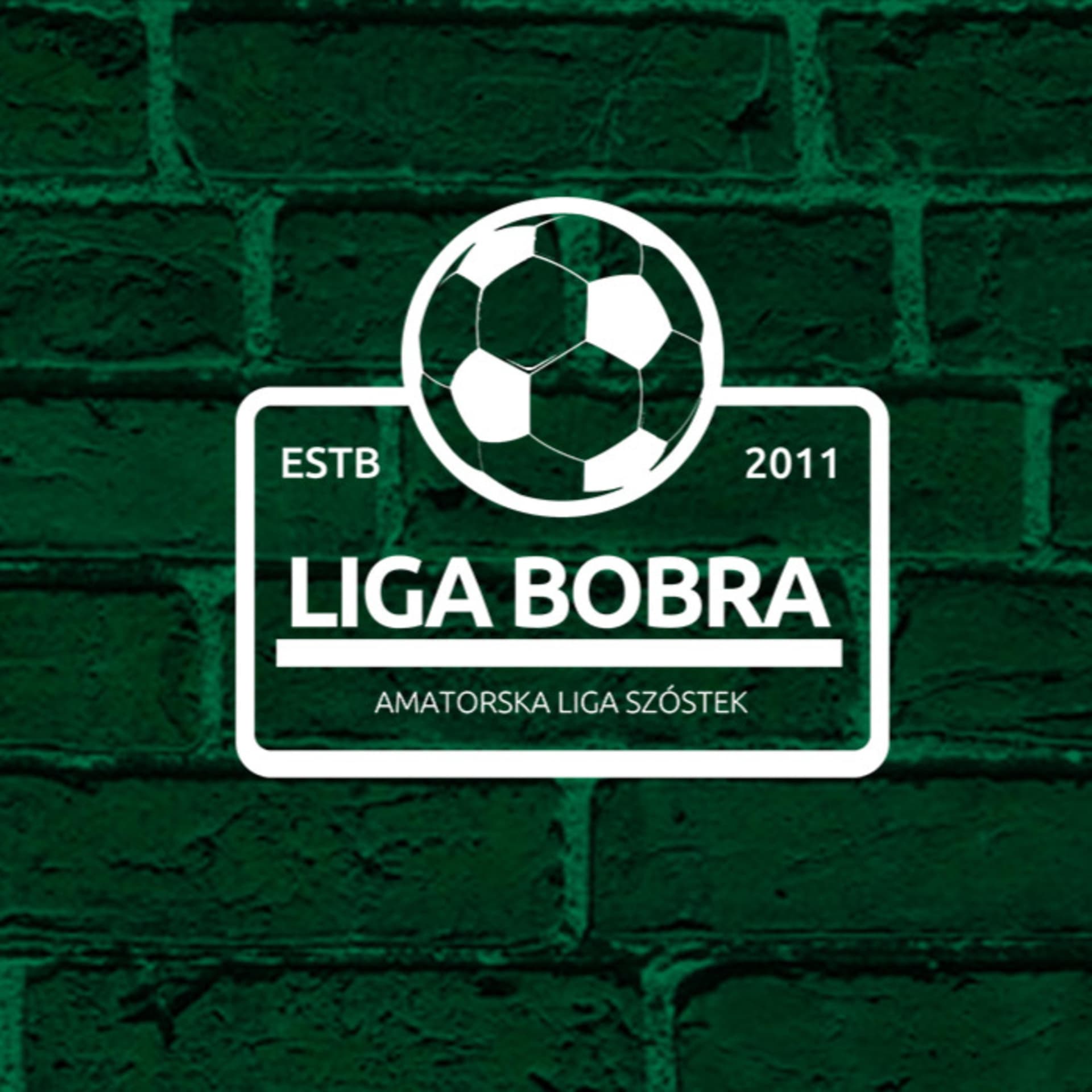 Liga Bobra
