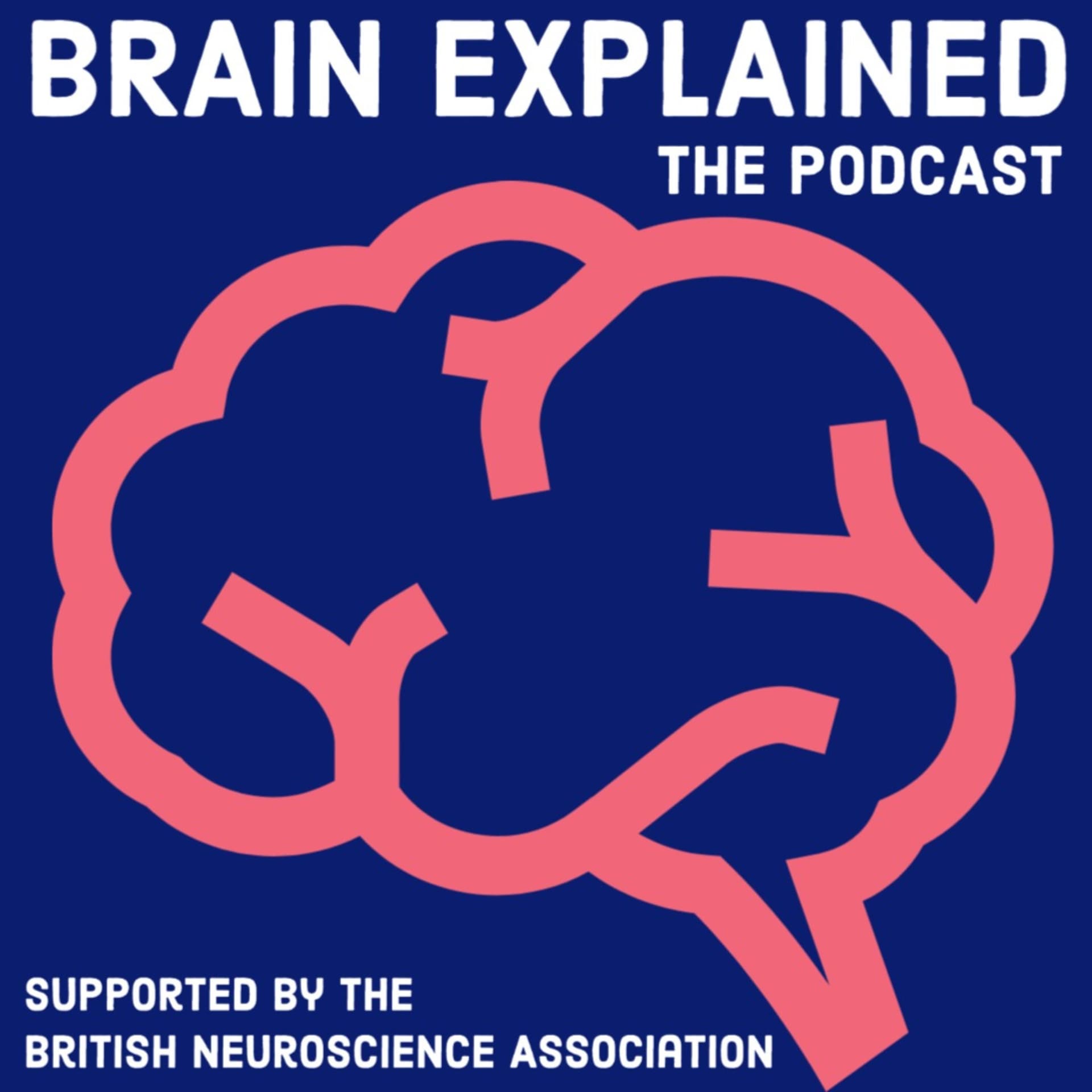 Brain Explained - Podcasts