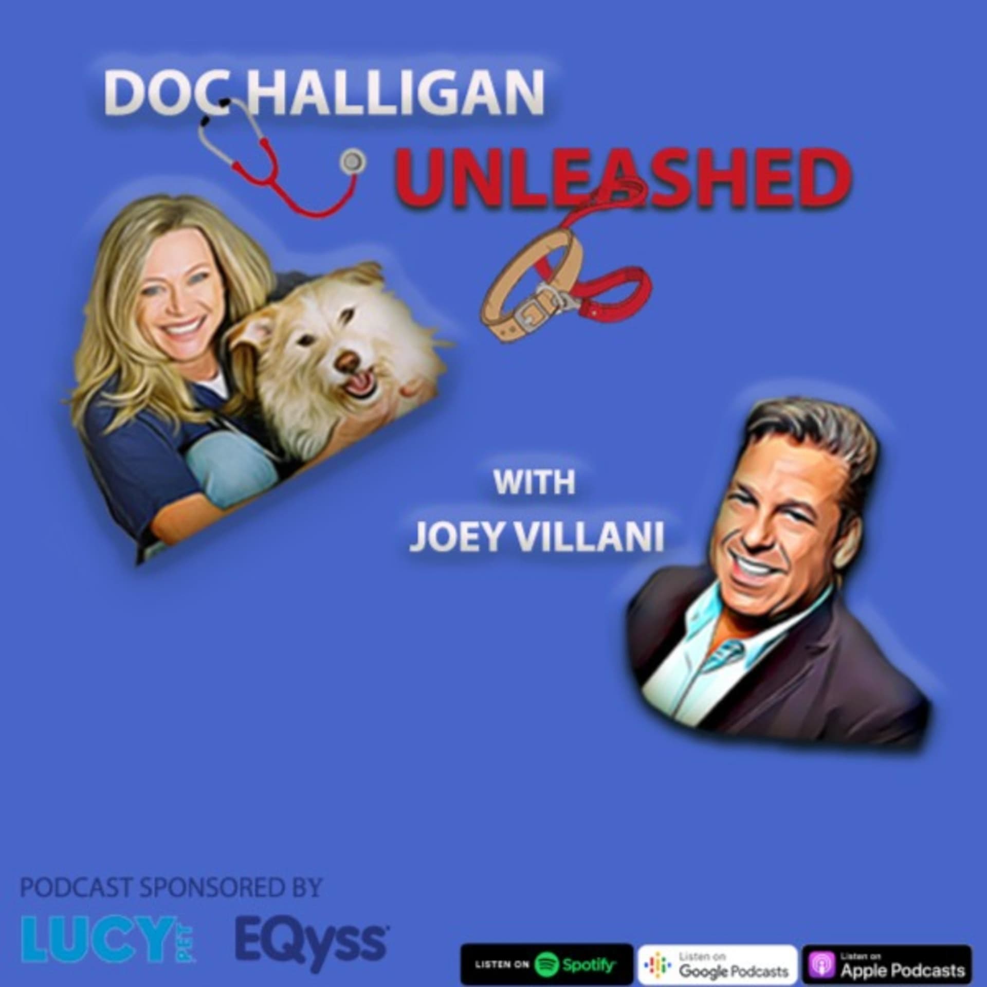 Doc Halligan Unleashed with Joey Villani - Podcasts