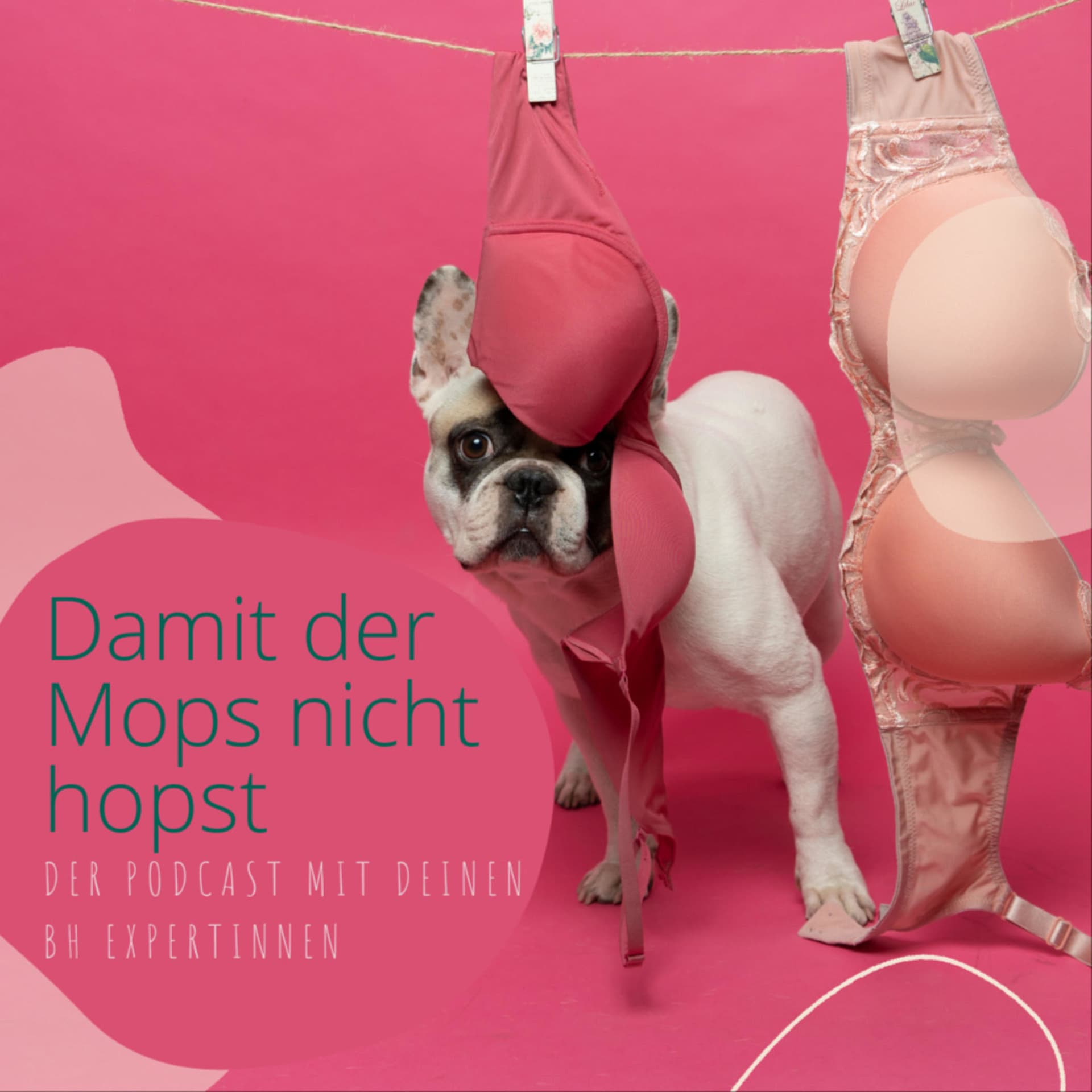 damit der Mops nicht hopst - Podcasts