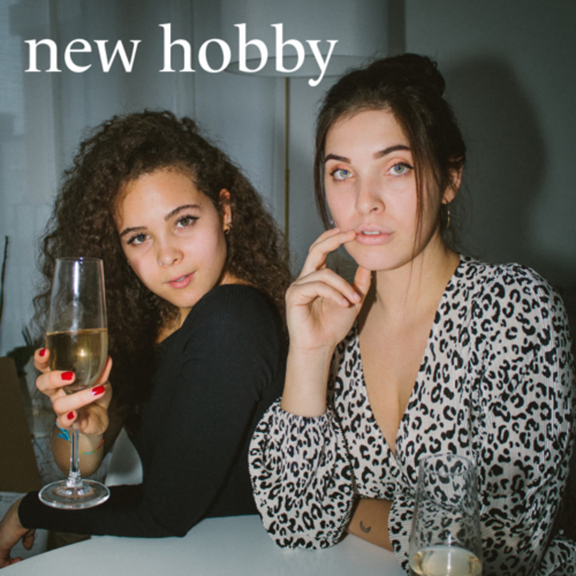New Hobby - Podcasts