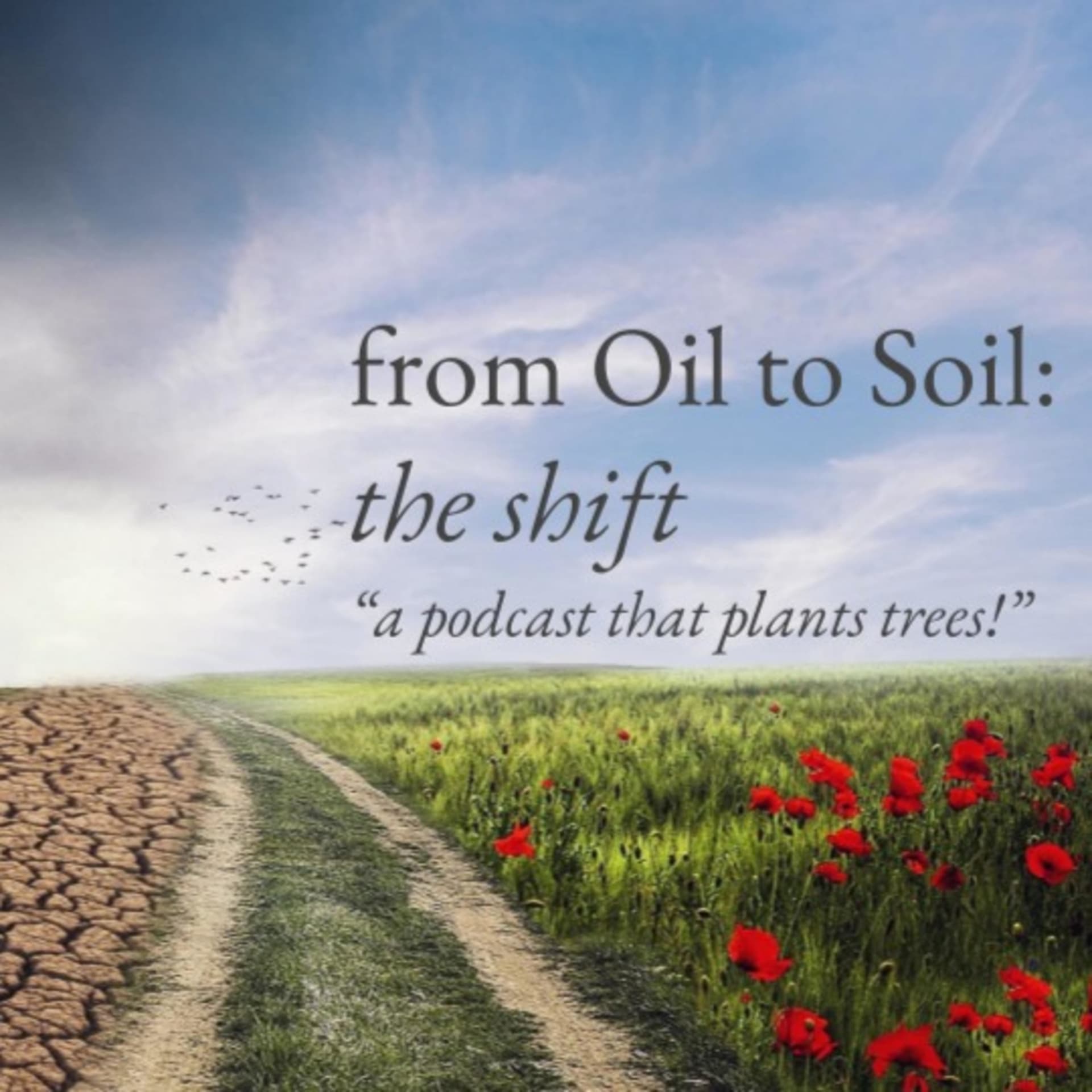 From Oil to Soil: the shift, "a podcast that plants trees!" - Podcasts