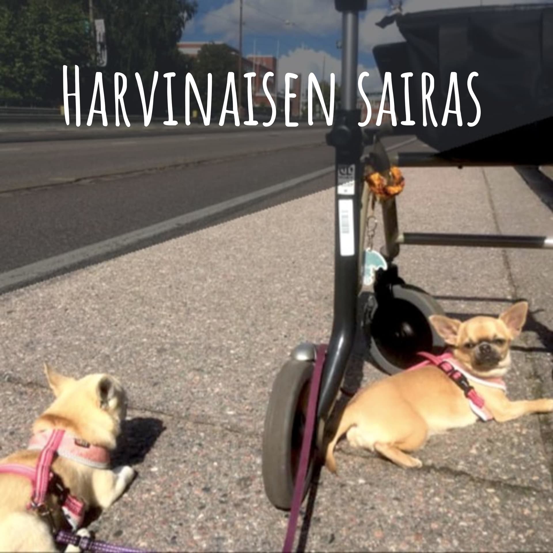 Harvinaisen sairas - Podcasts