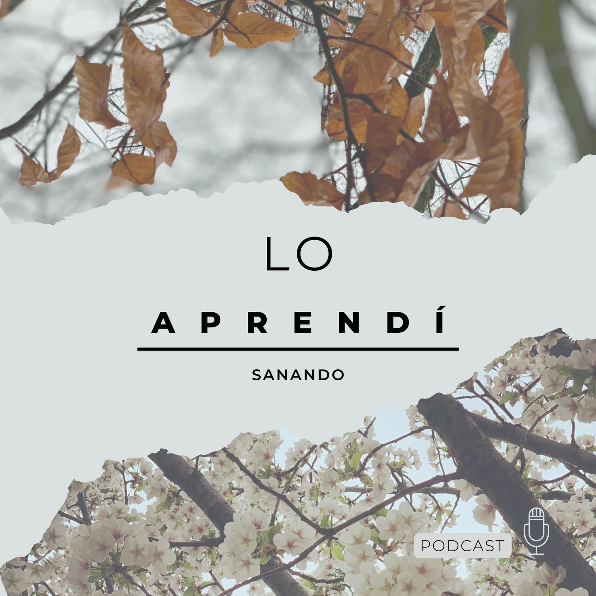 Lo Aprendí Sanando - Podcasts