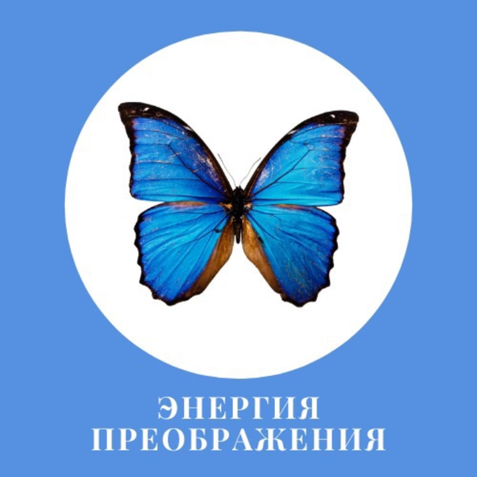 Энергия Преображения - Podcasts