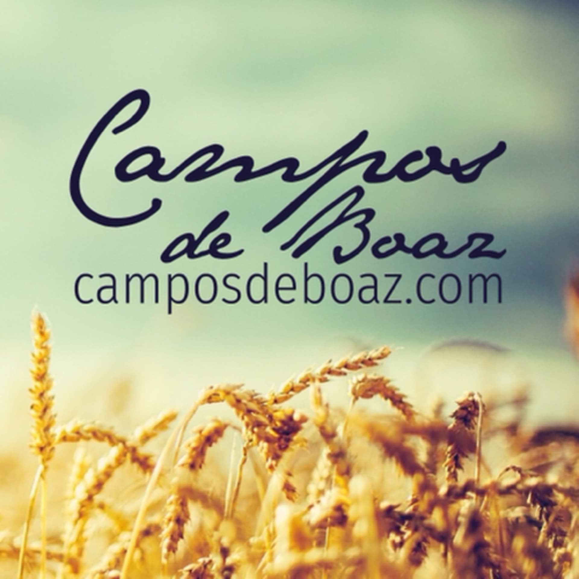 Campos de Boaz - Podcasts
