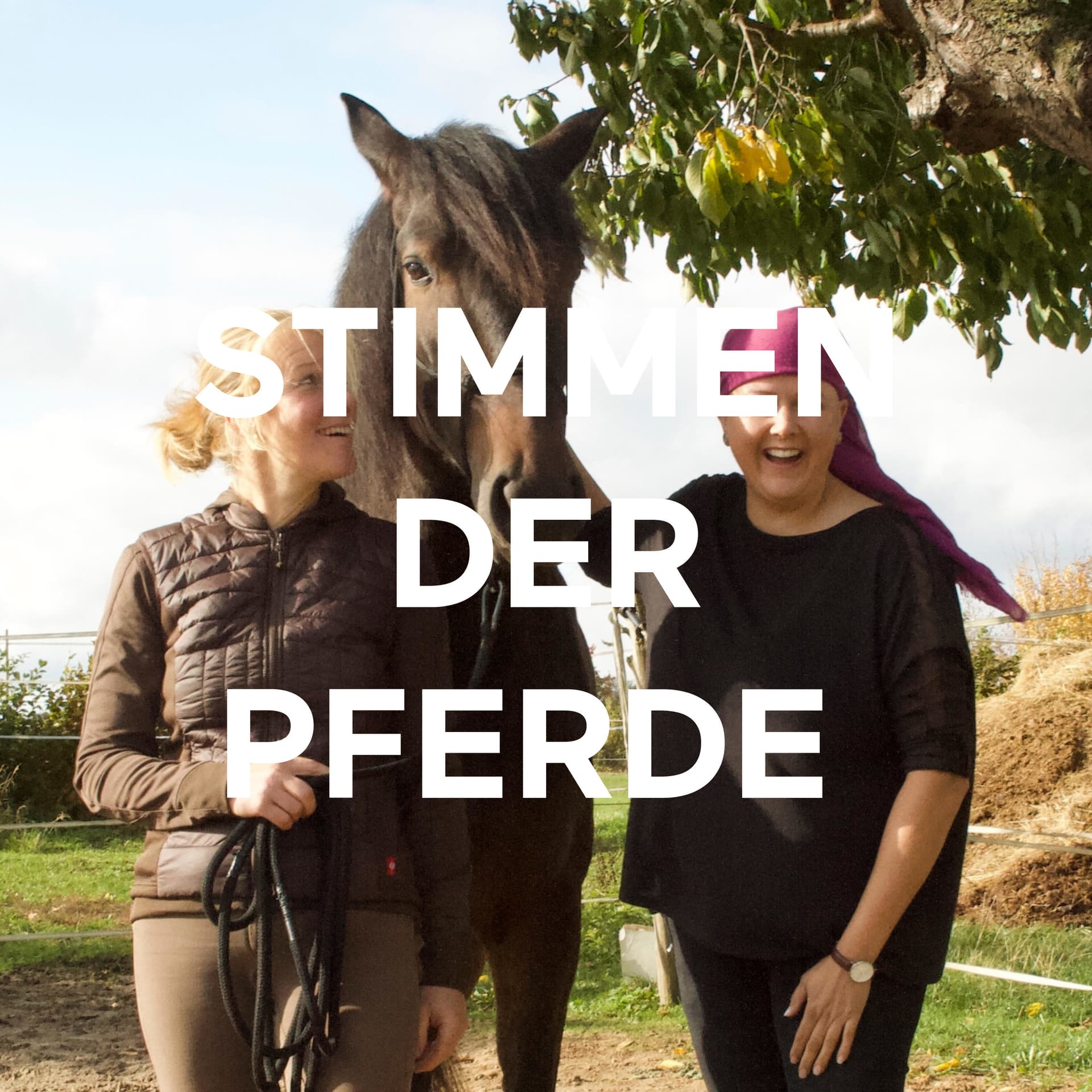 STIMMEN DER PFERDE - Podcasts