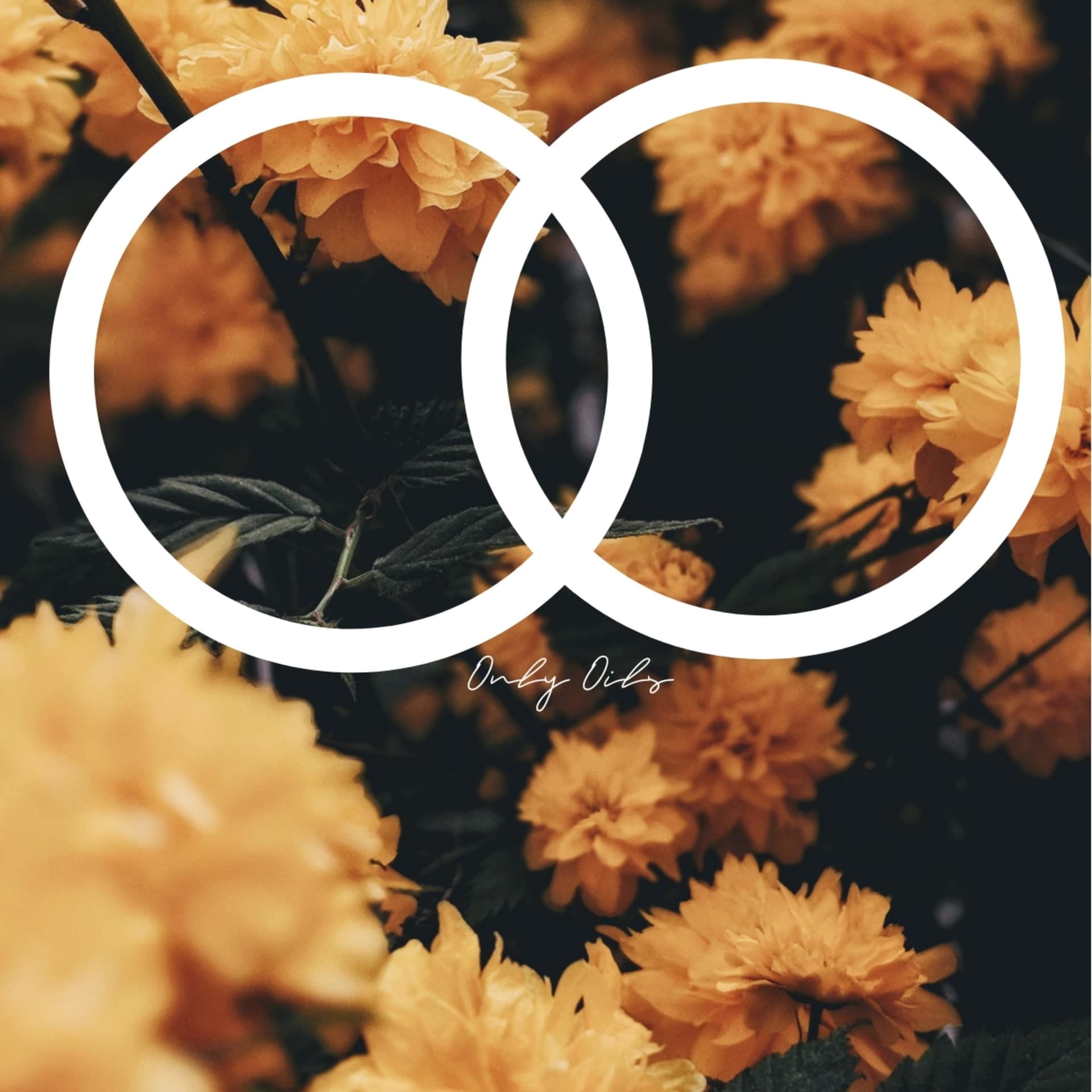 Only Oils - Podcasts