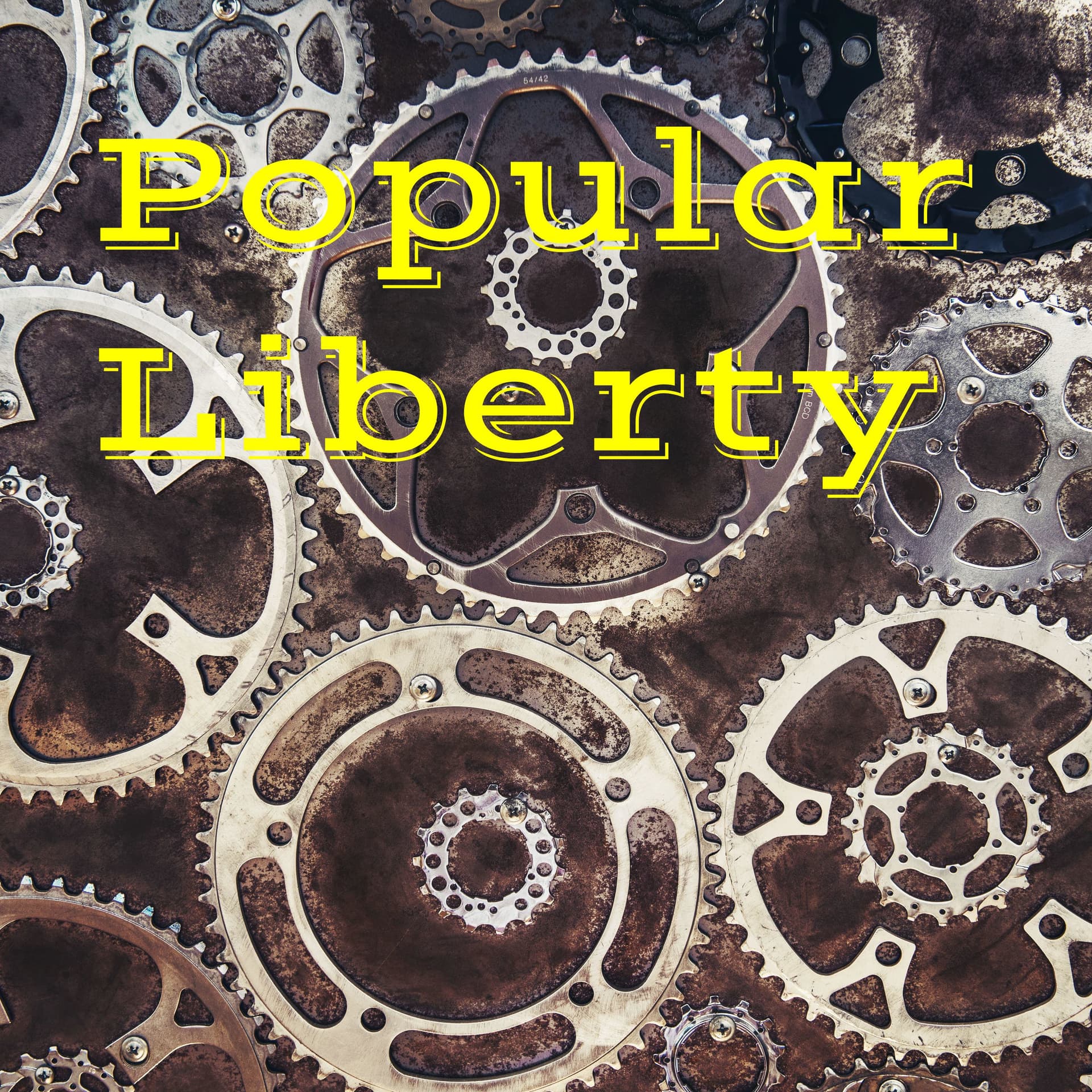 Politically Catholic