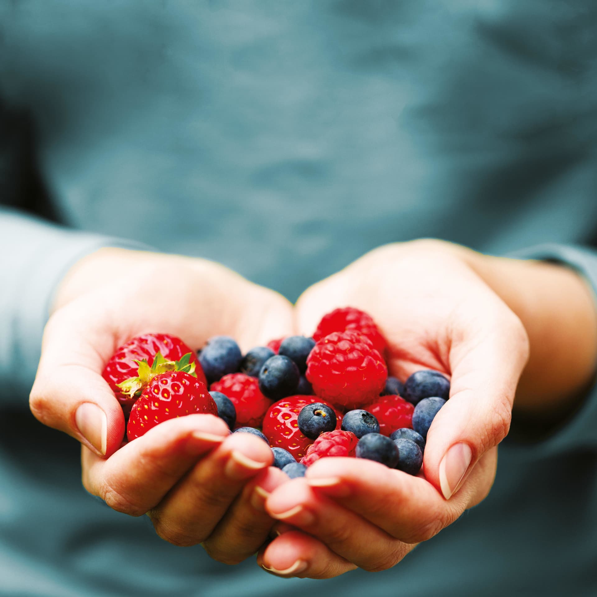 SICOLY - Les Fruits du Succès - Podcasts