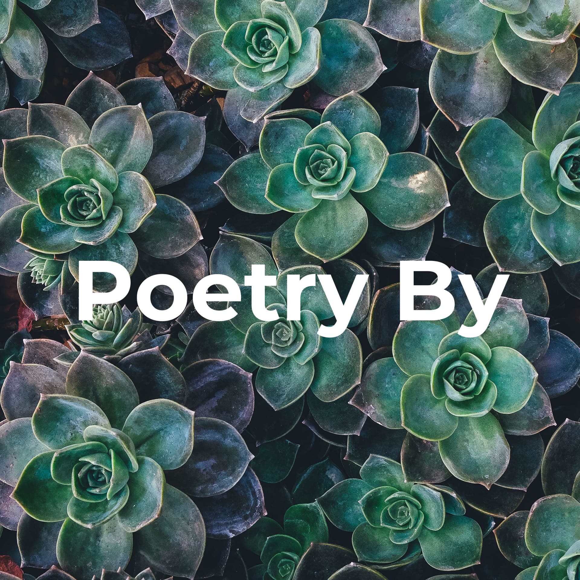 Poetry By - Ankit
