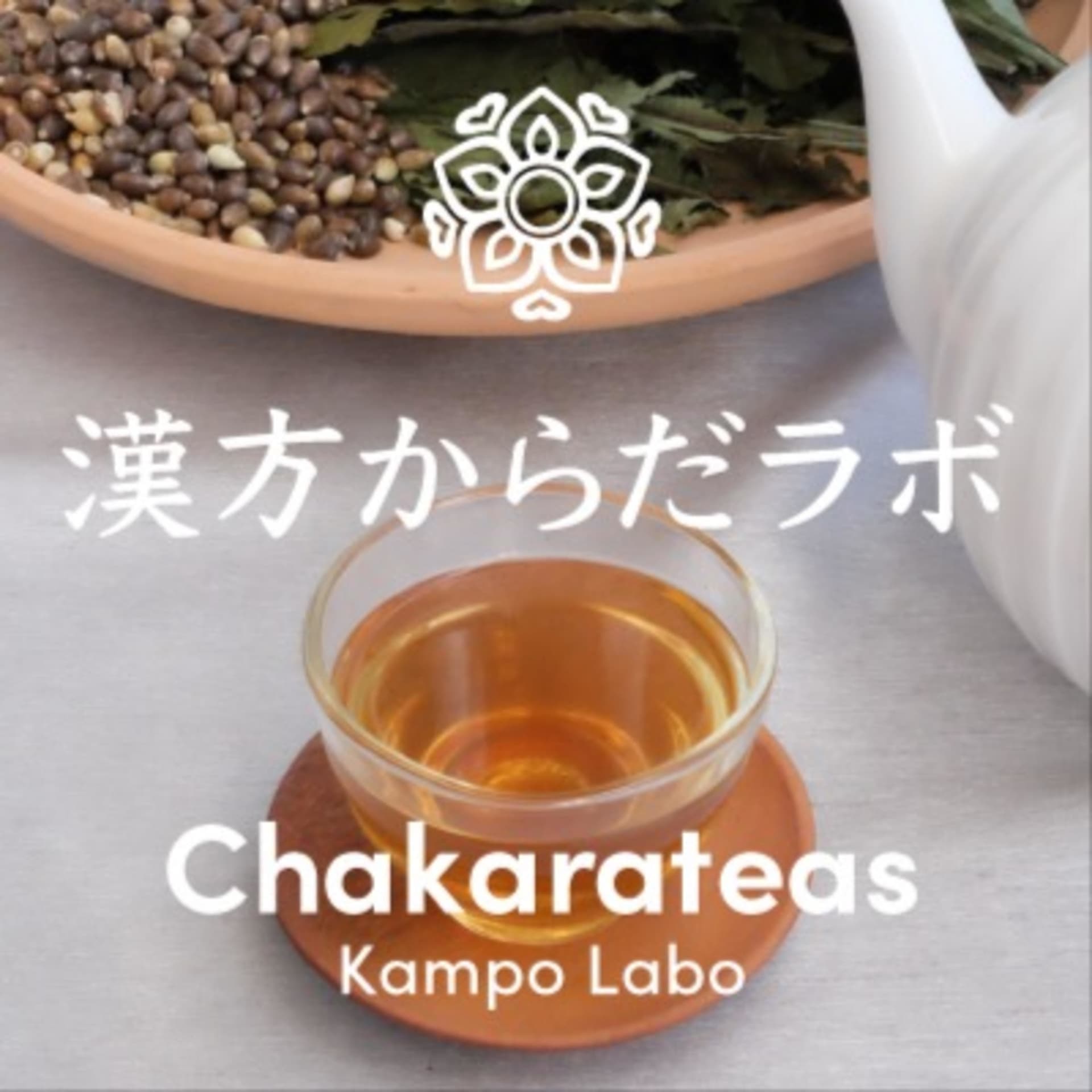 漢方からだラボ