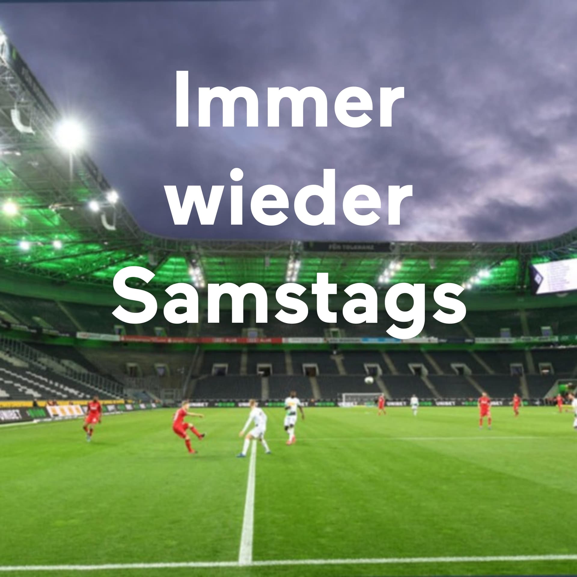 Immer wieder Samstags - Podcasts